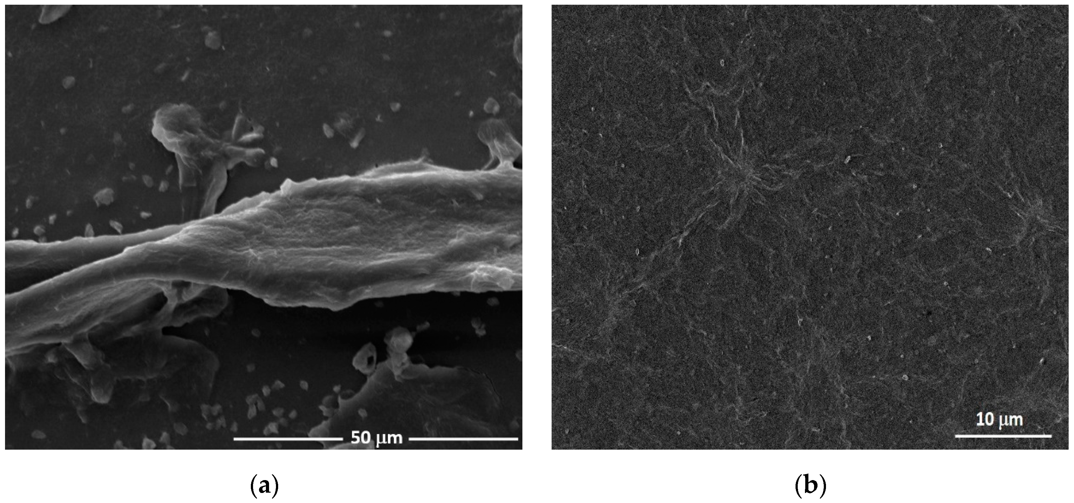 Chemosensors 08 00053 g001 Chemosensors 08 00053 g001