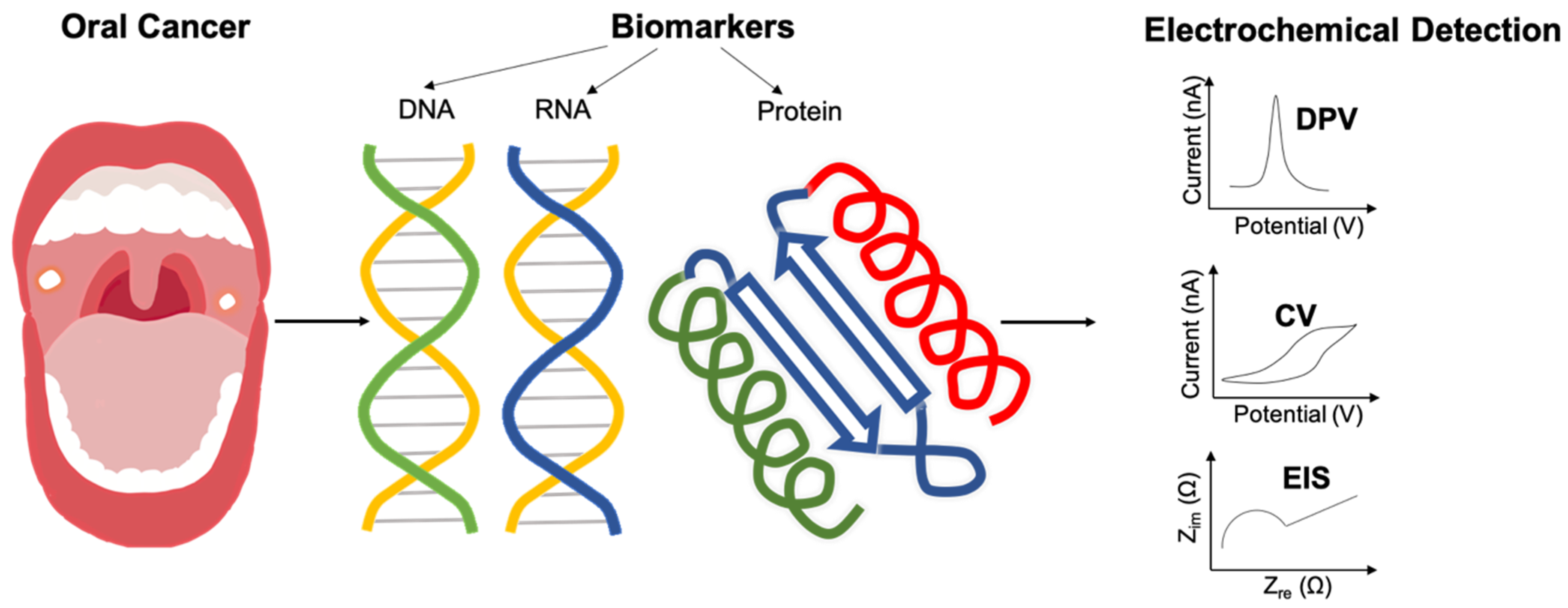 Chemosensors 08 00054 g001