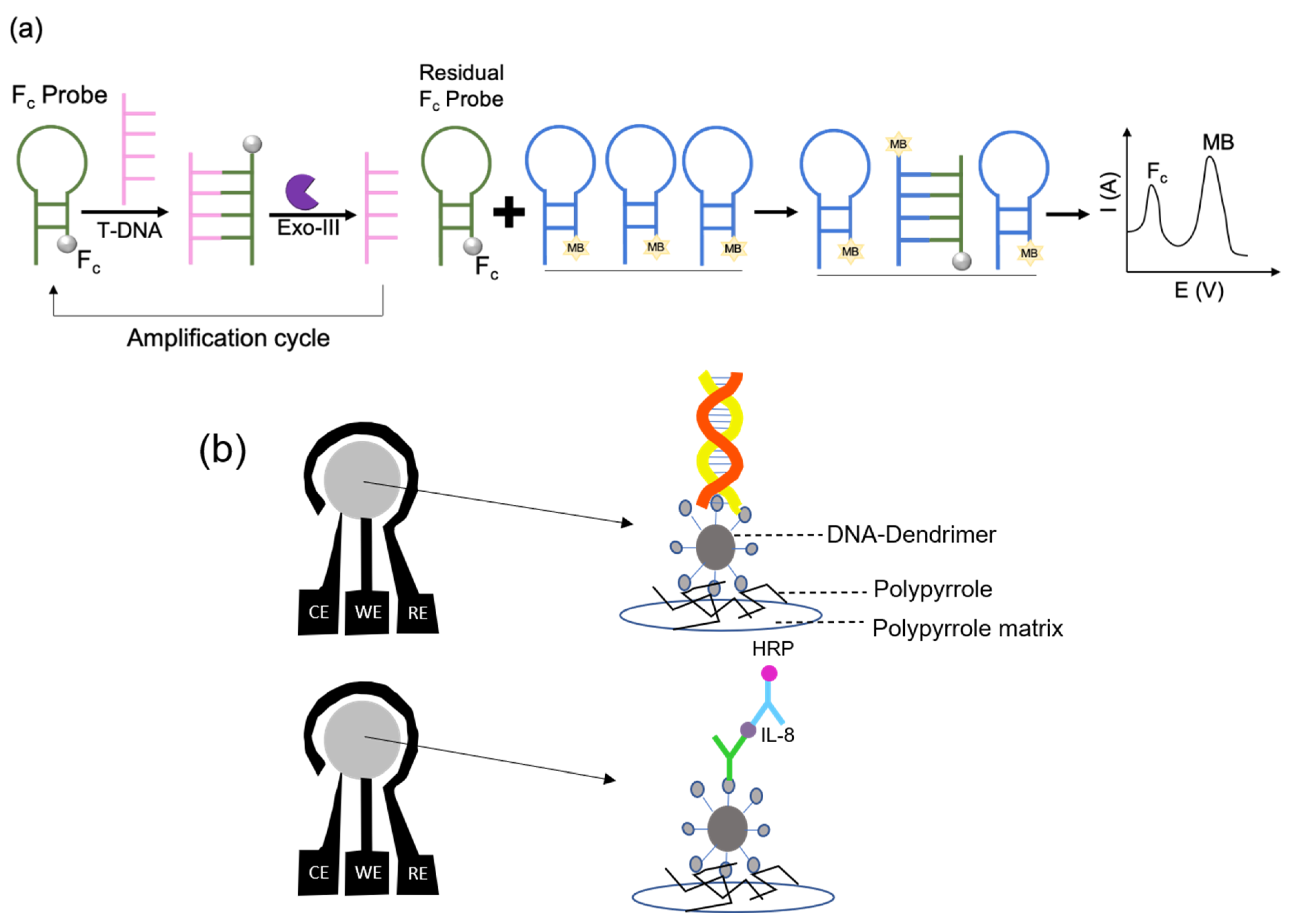 Chemosensors 08 00054 g002