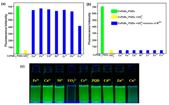 Chemosensors 08 00055 g009 550