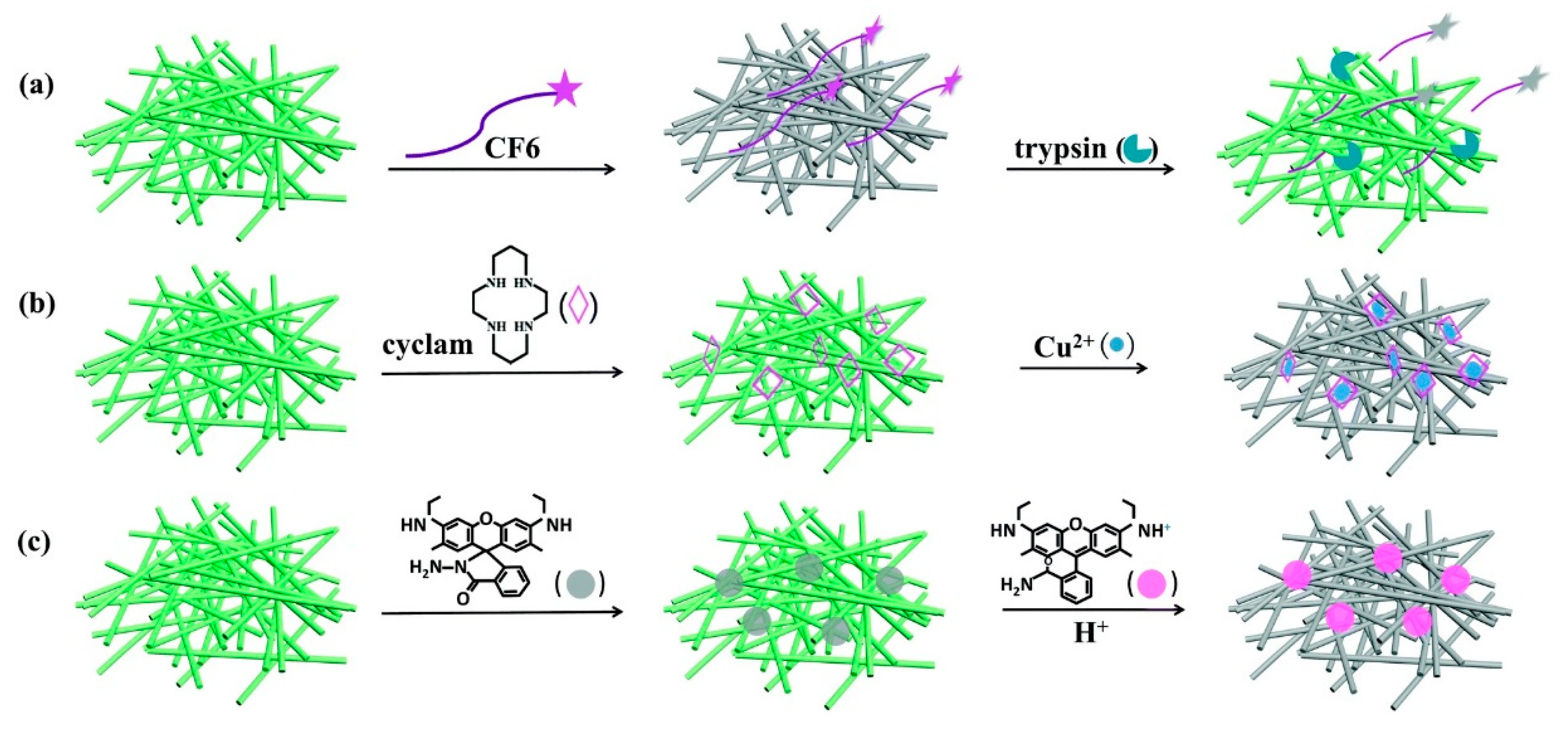 Chemosensors 08 00055 g019