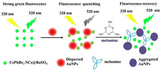 Chemosensors 08 00055 g021 550