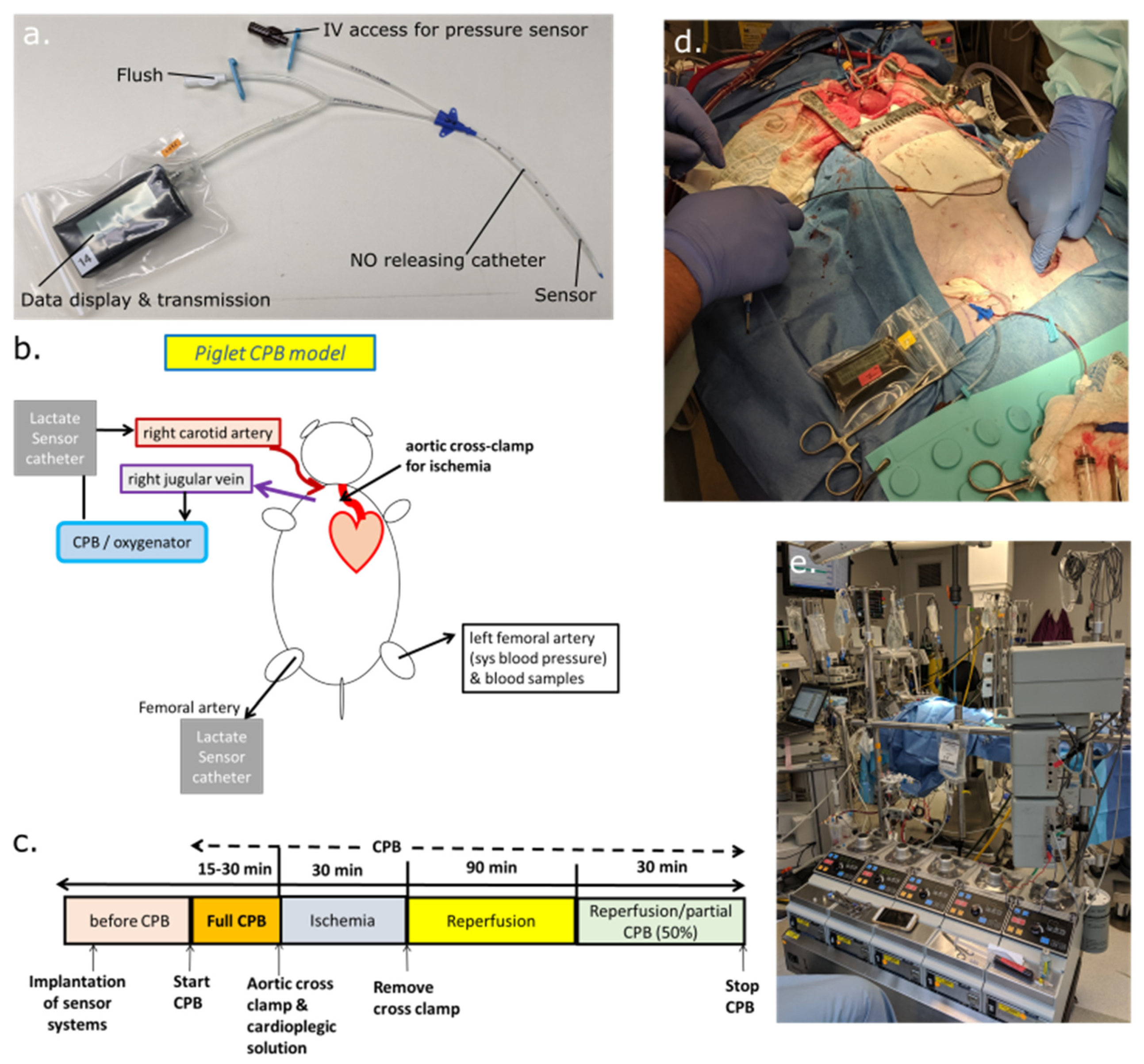 Chemosensors 08 00056 g001