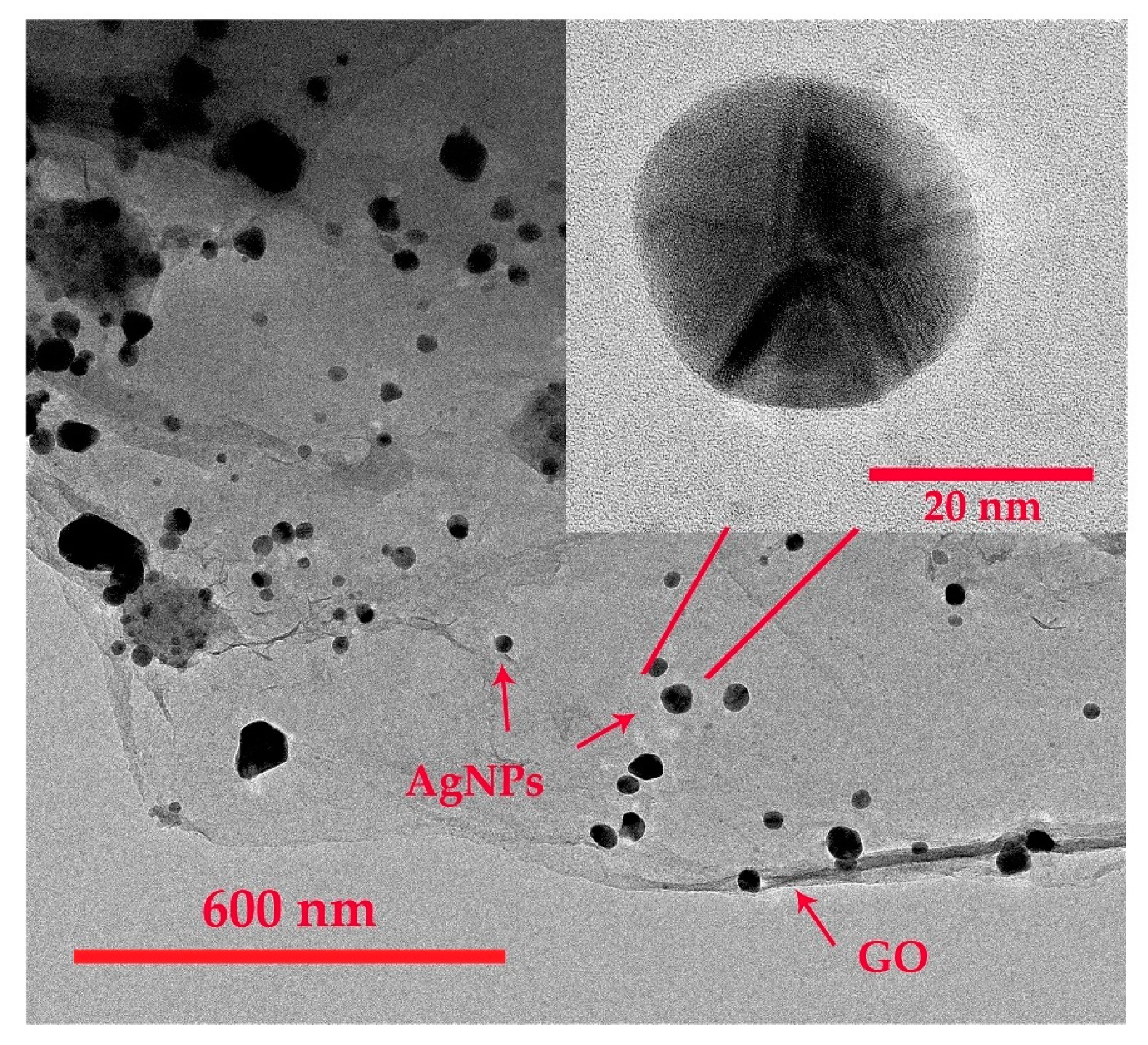 Chemosensors 08 00058 g004