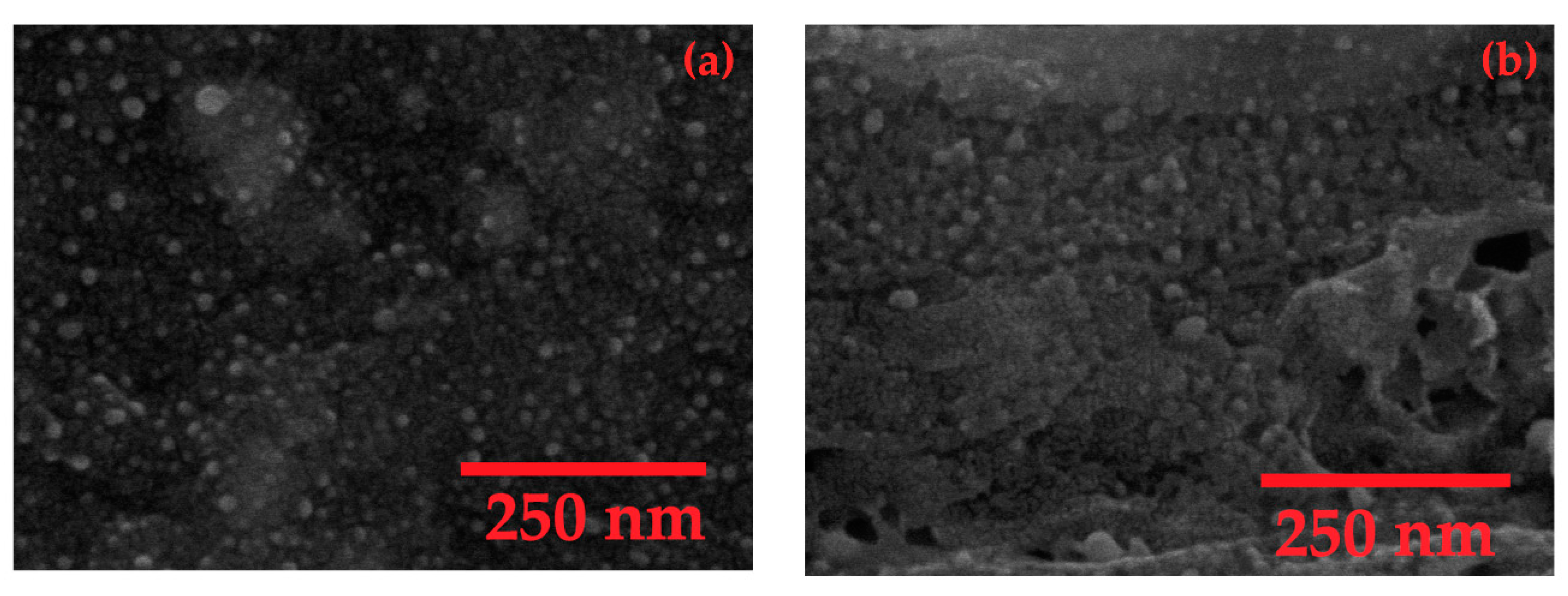 Chemosensors 08 00058 g005