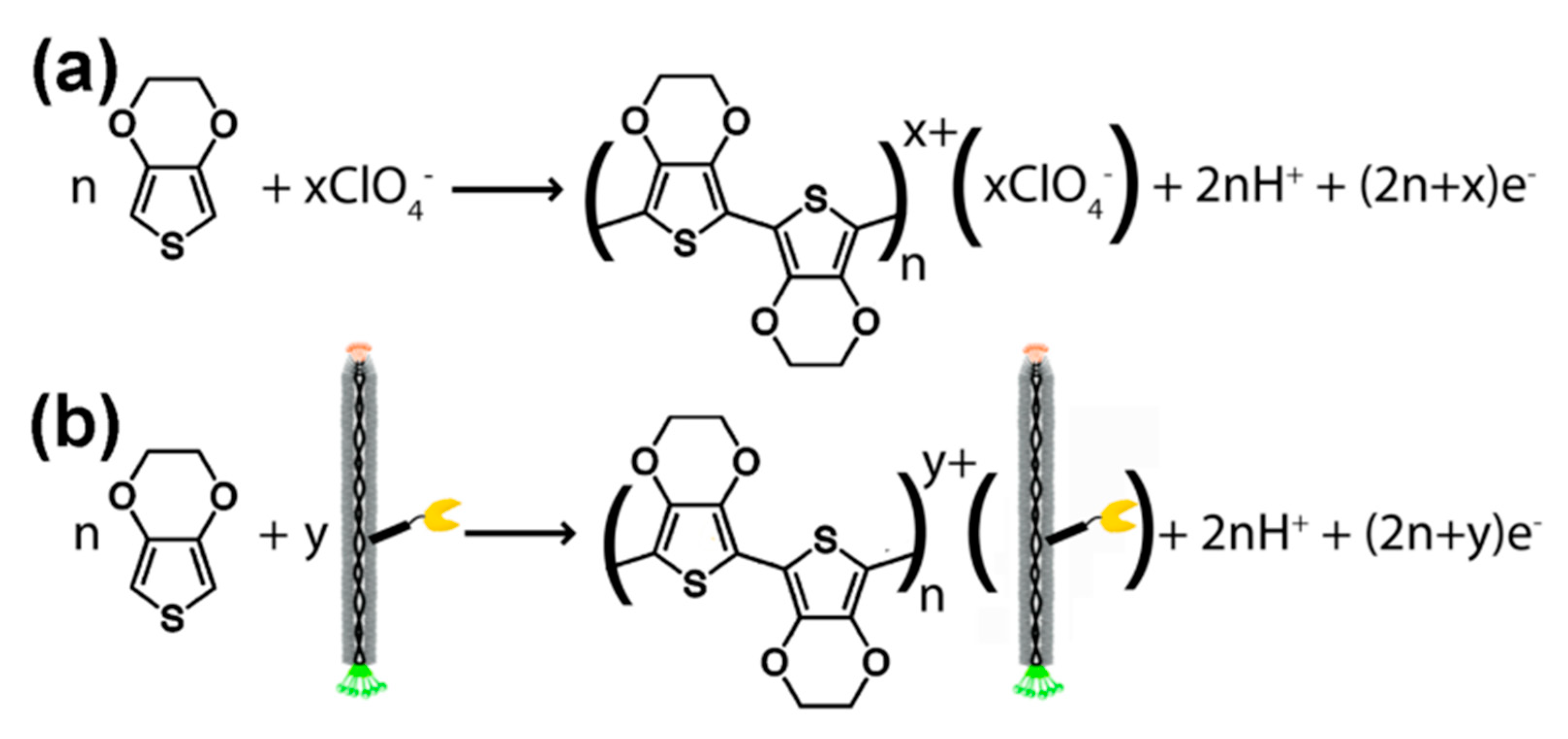 Chemosensors 08 00061 g006 Chemosensors 08 00061 g006