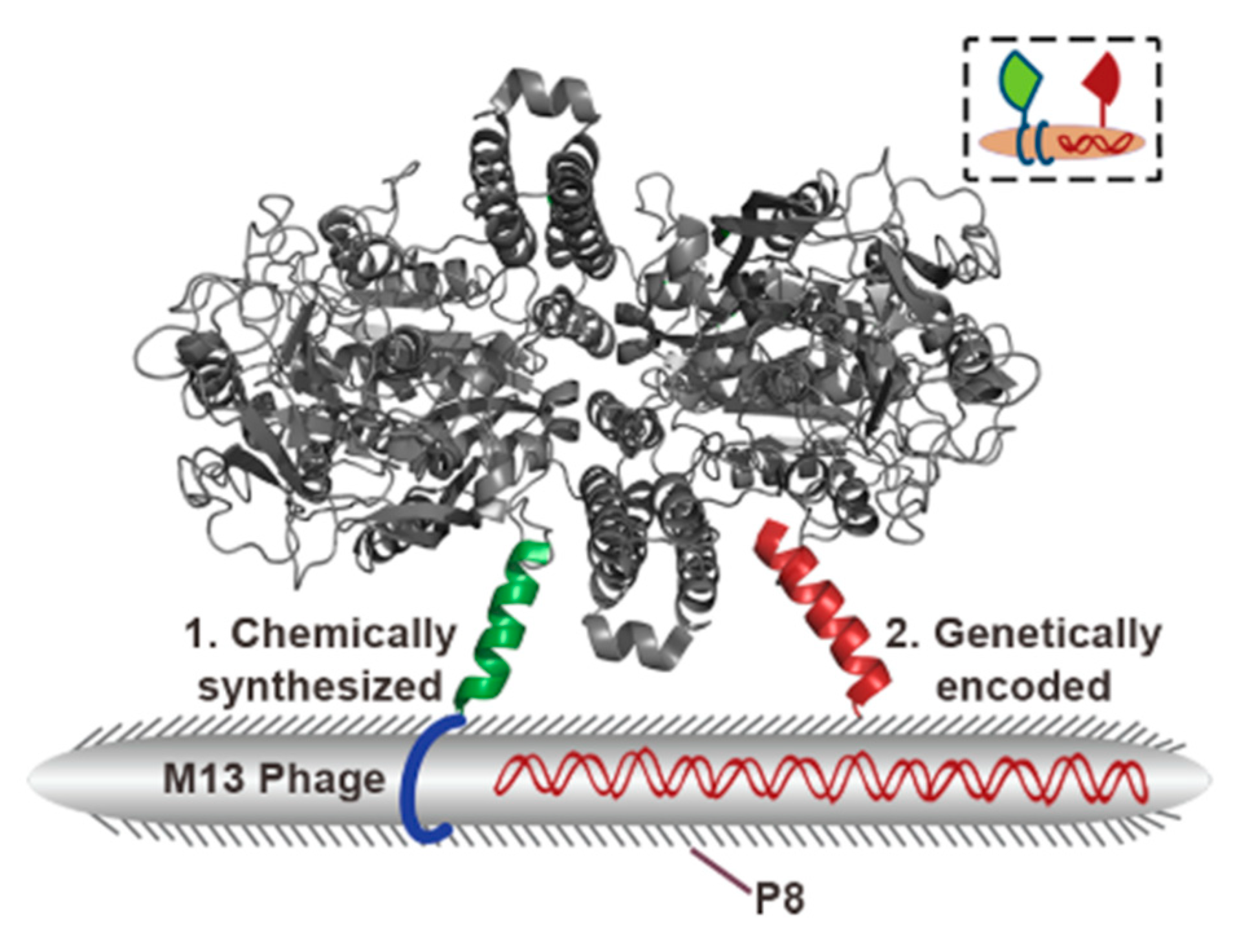 Chemosensors 08 00061 g007 Chemosensors 08 00061 g007