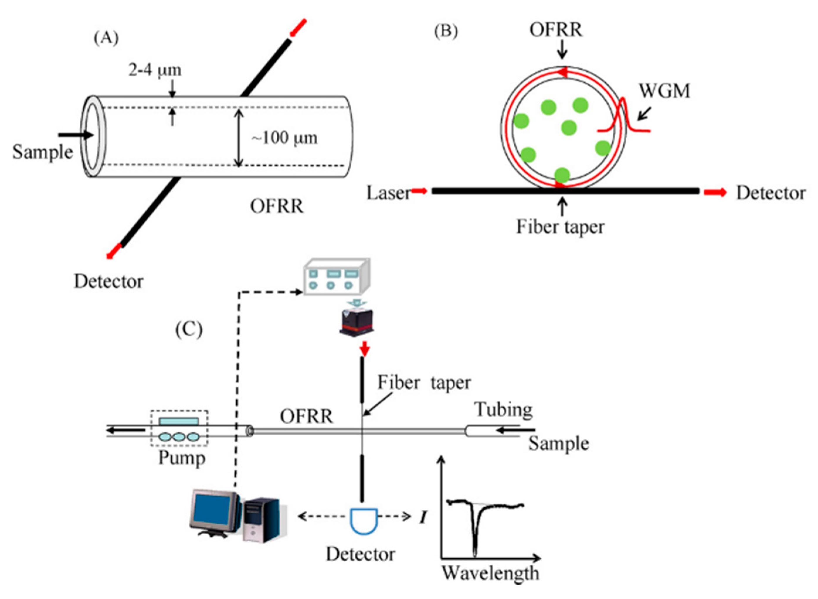 Chemosensors 08 00061 g011 Chemosensors 08 00061 g011