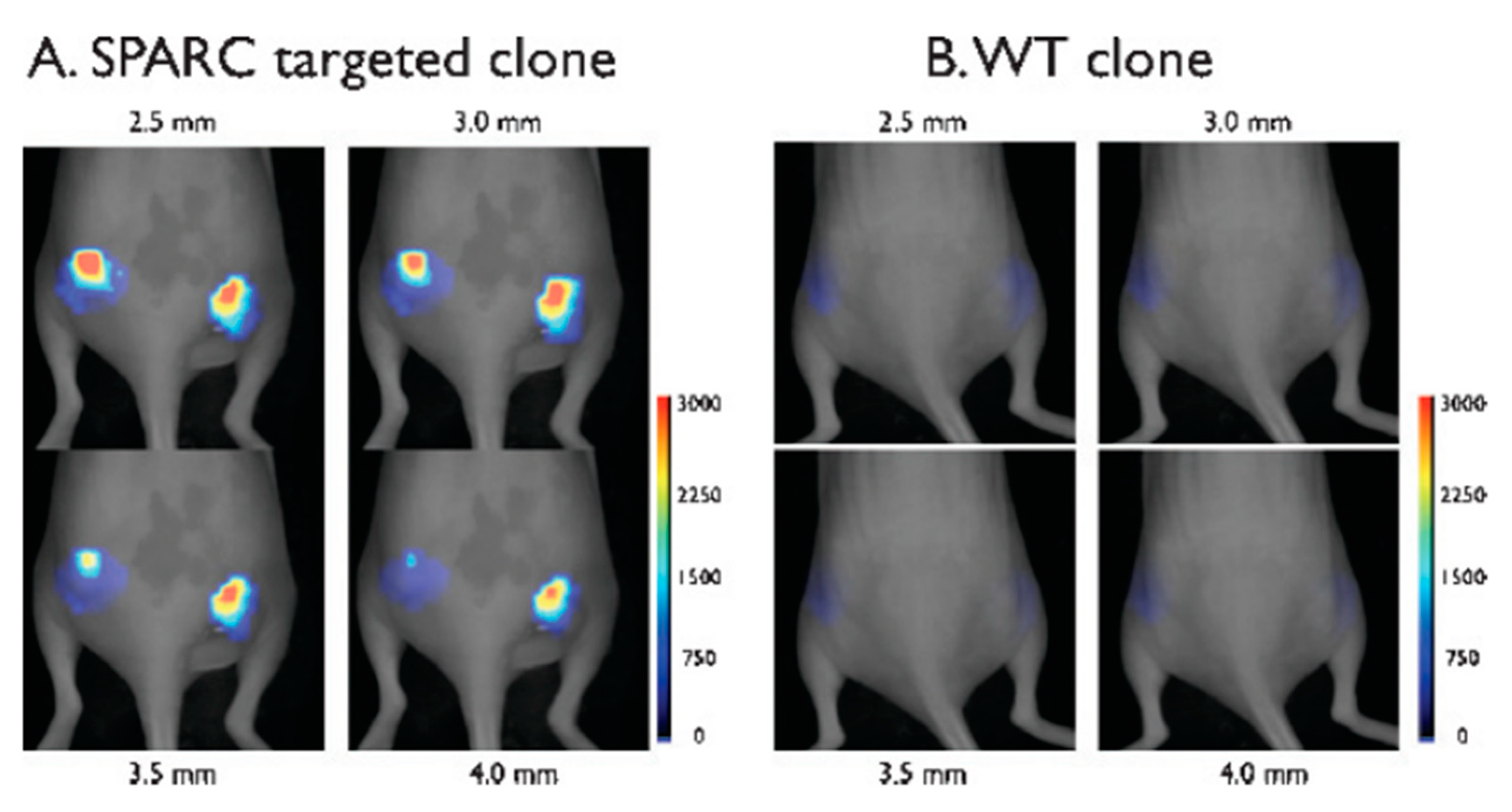 Chemosensors 08 00061 g012 Chemosensors 08 00061 g012