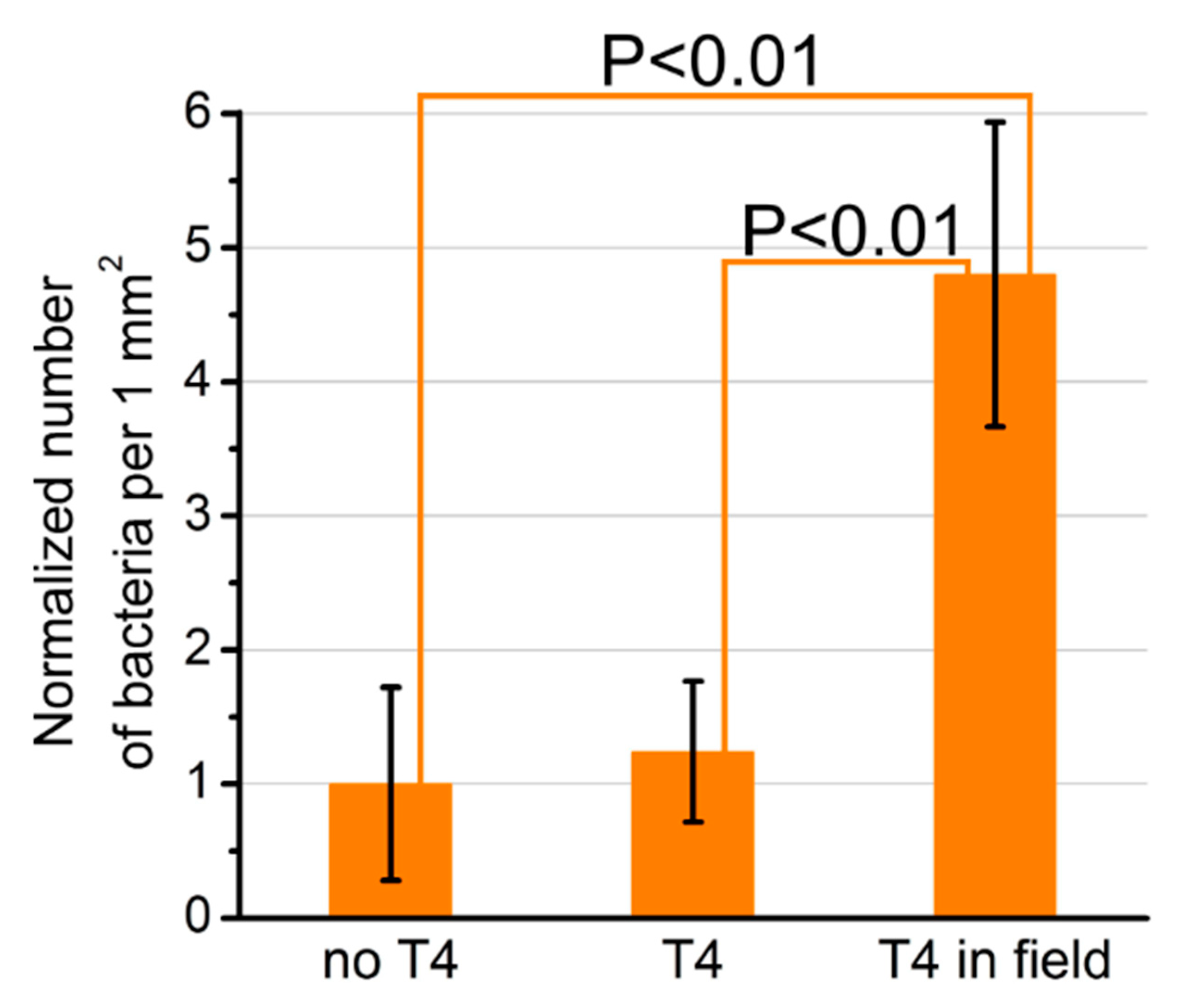Chemosensors 08 00061 g014 Chemosensors 08 00061 g014