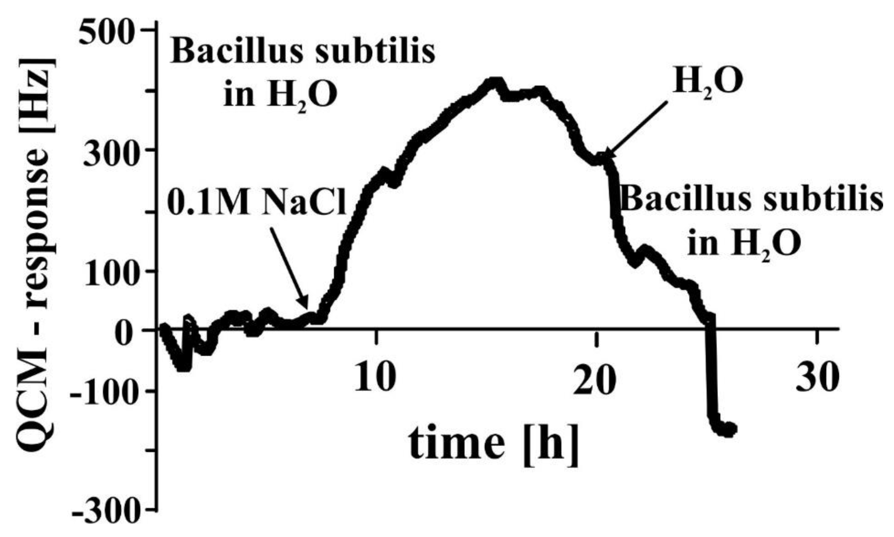 Chemosensors 08 00064 g007