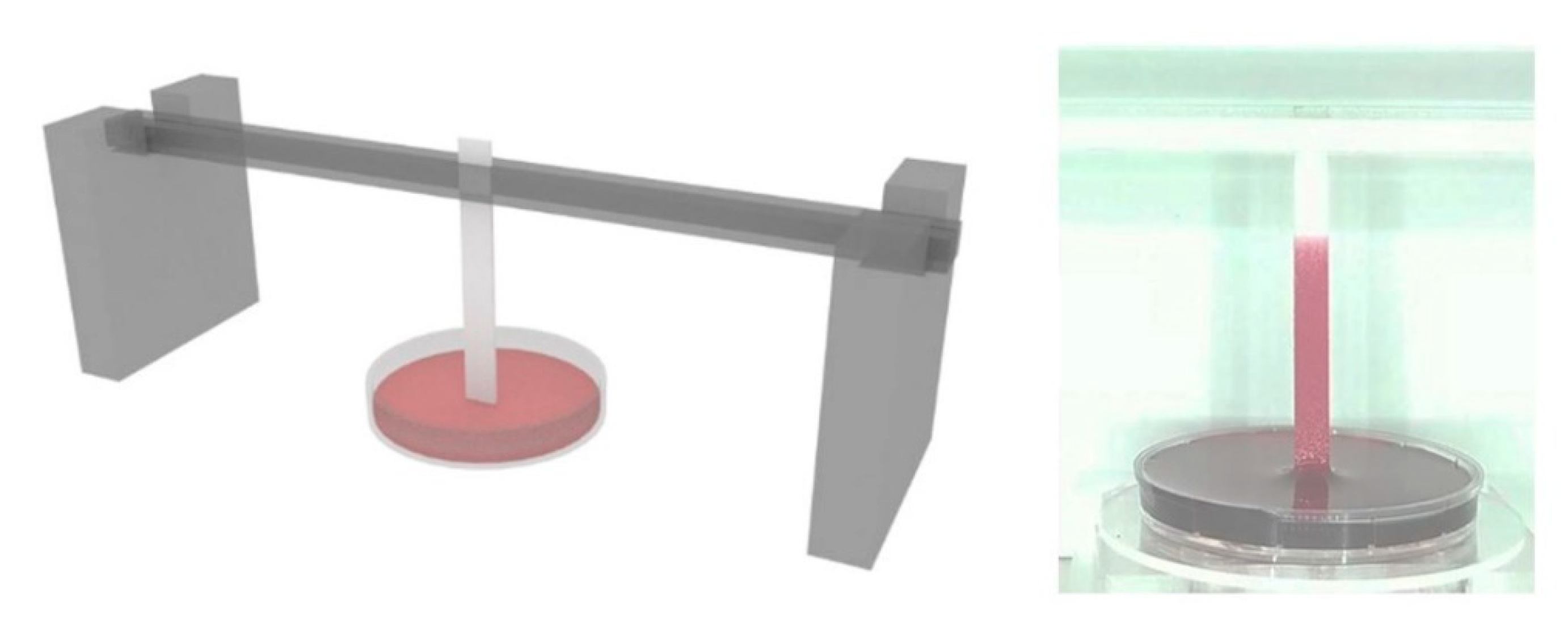 Chemosensors 08 00065 g004 Chemosensors 08 00065 g004