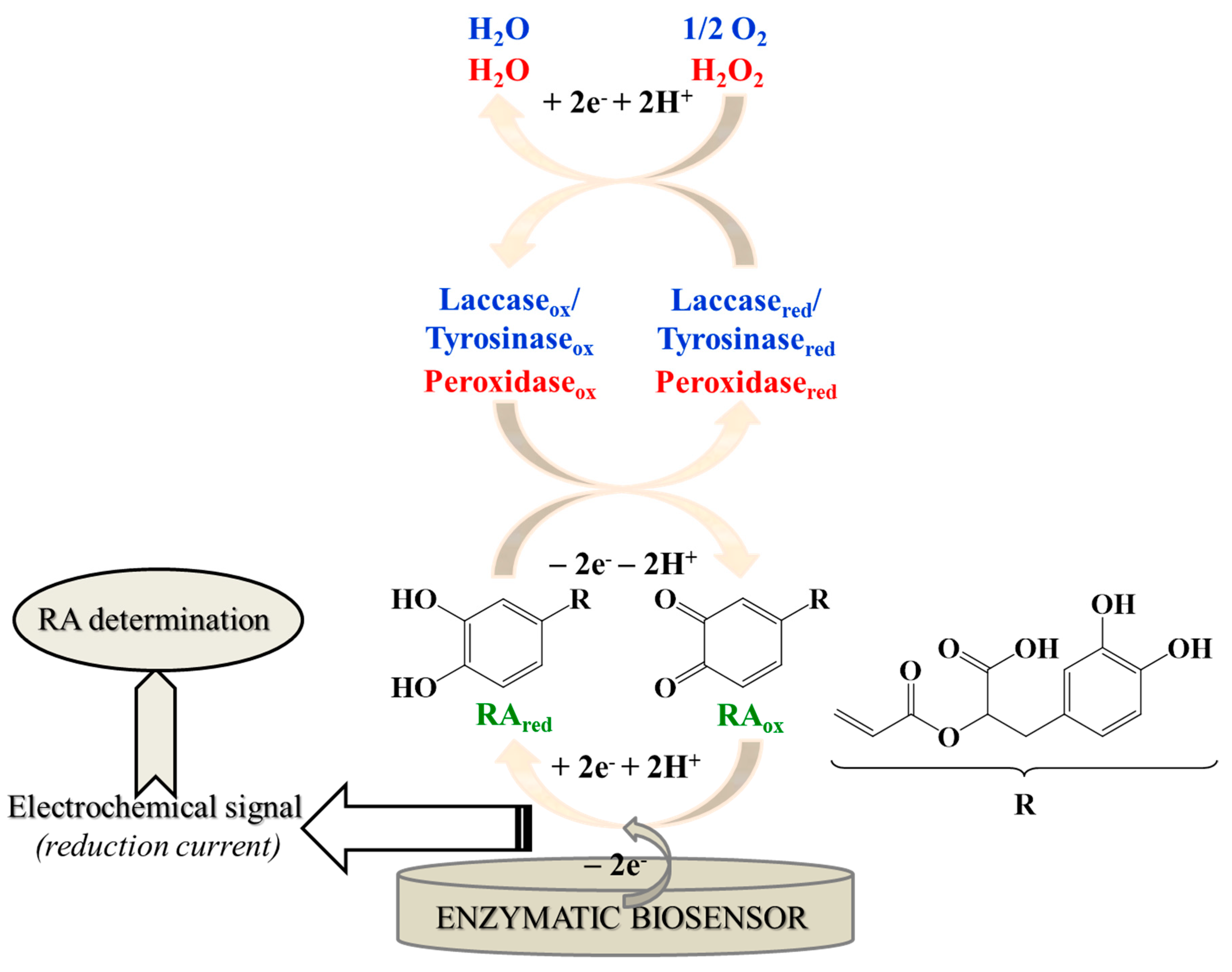 Chemosensors 08 00074 g002 Chemosensors 08 00074 g002