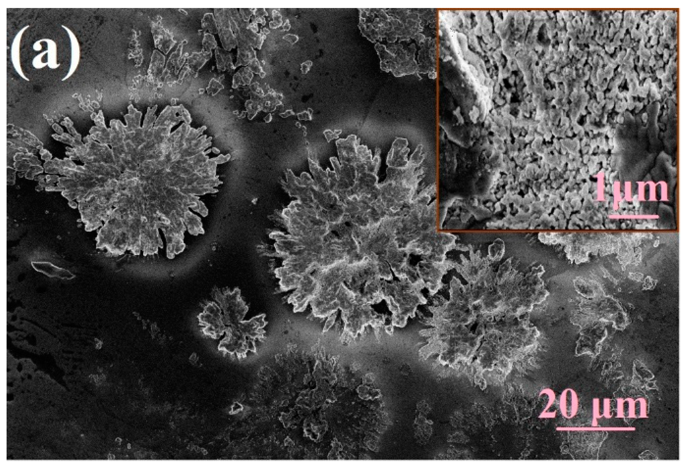 Chemosensors 08 00079 g001a Chemosensors 08 00079 g001a