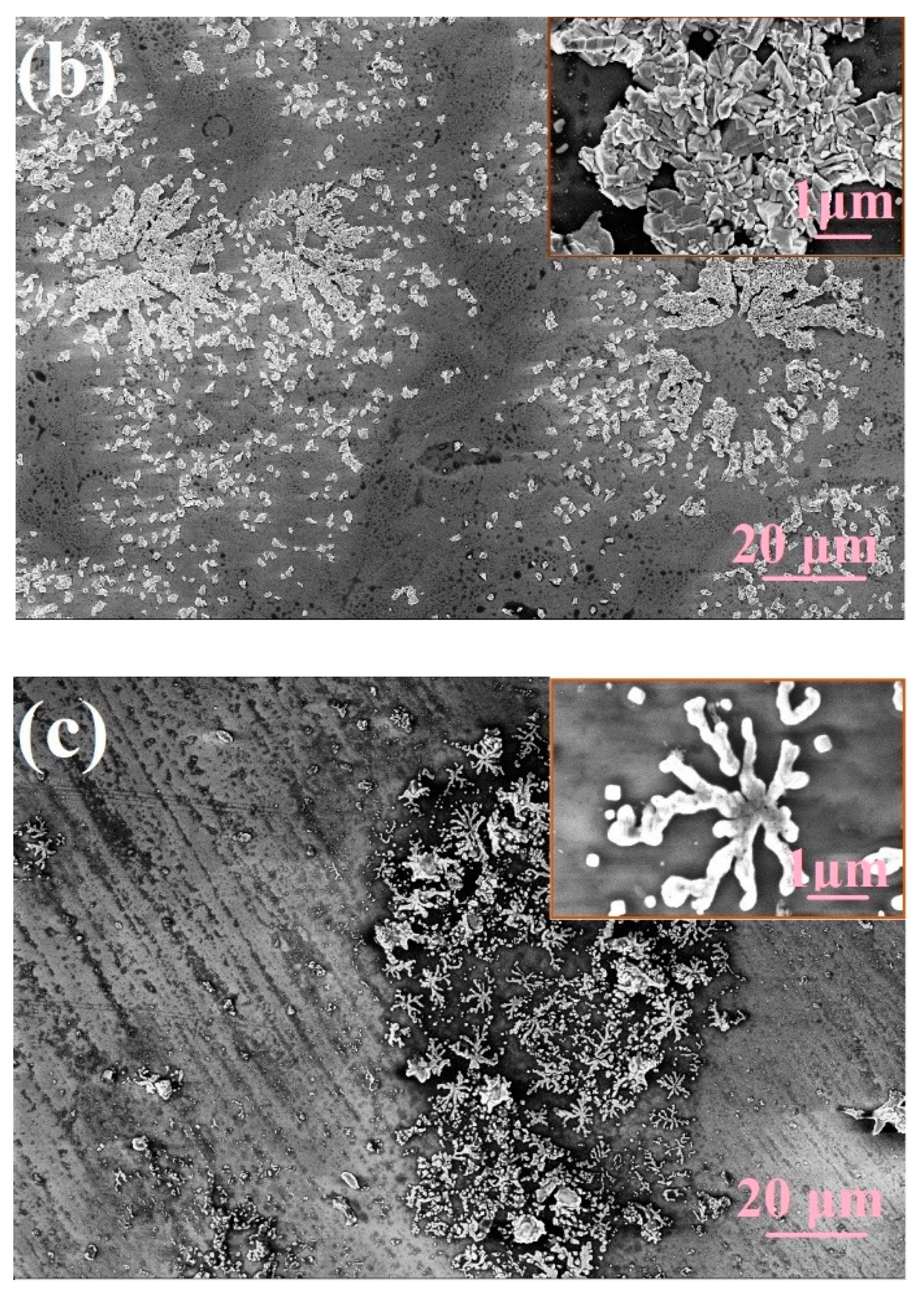 Chemosensors 08 00079 g001b Chemosensors 08 00079 g001b