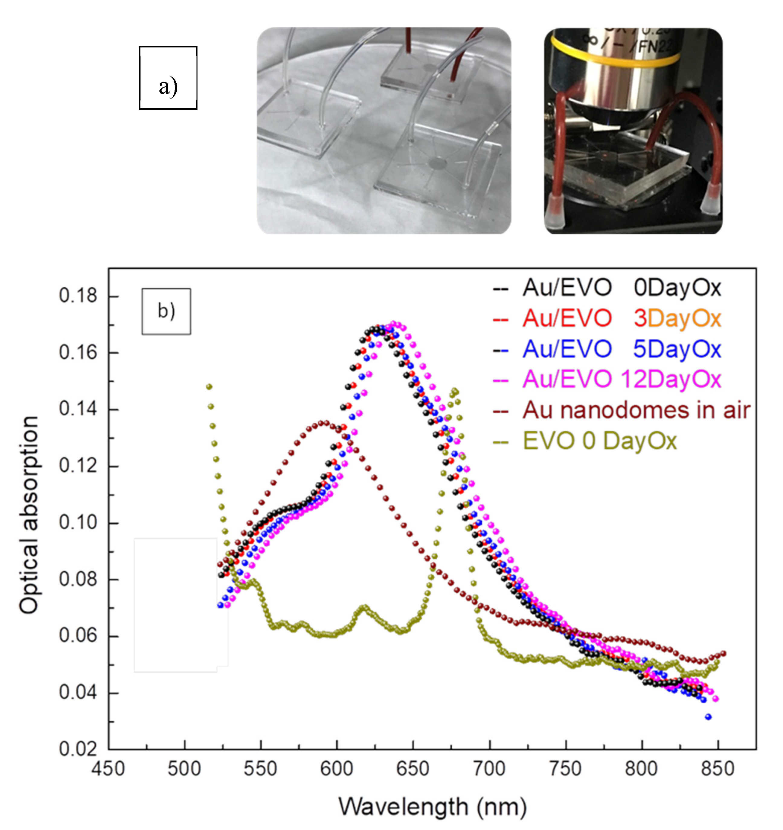 Chemosensors 08 00083 g005