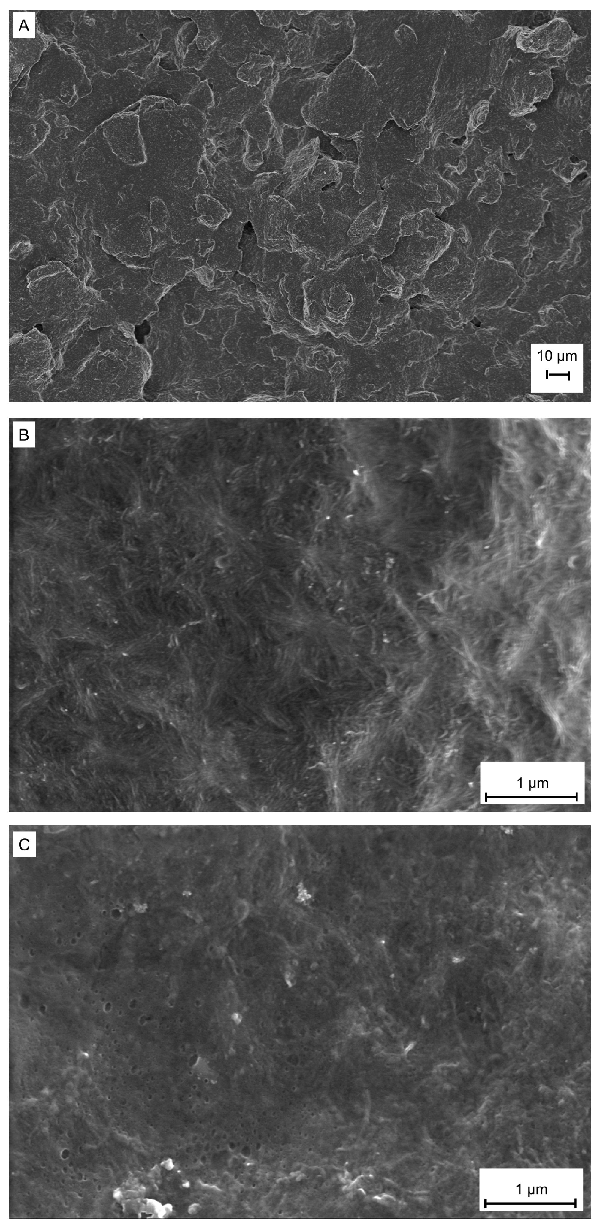 Chemosensors 08 00087 g002