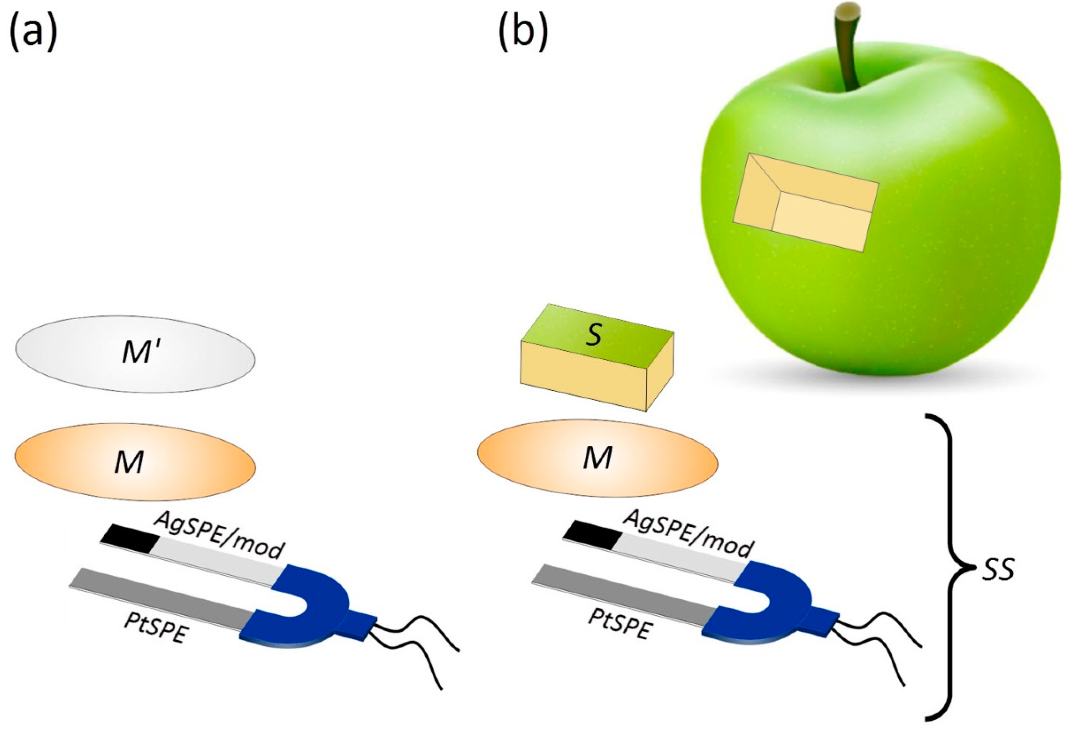 Chemosensors 08 00090 g002 Chemosensors 08 00090 g002