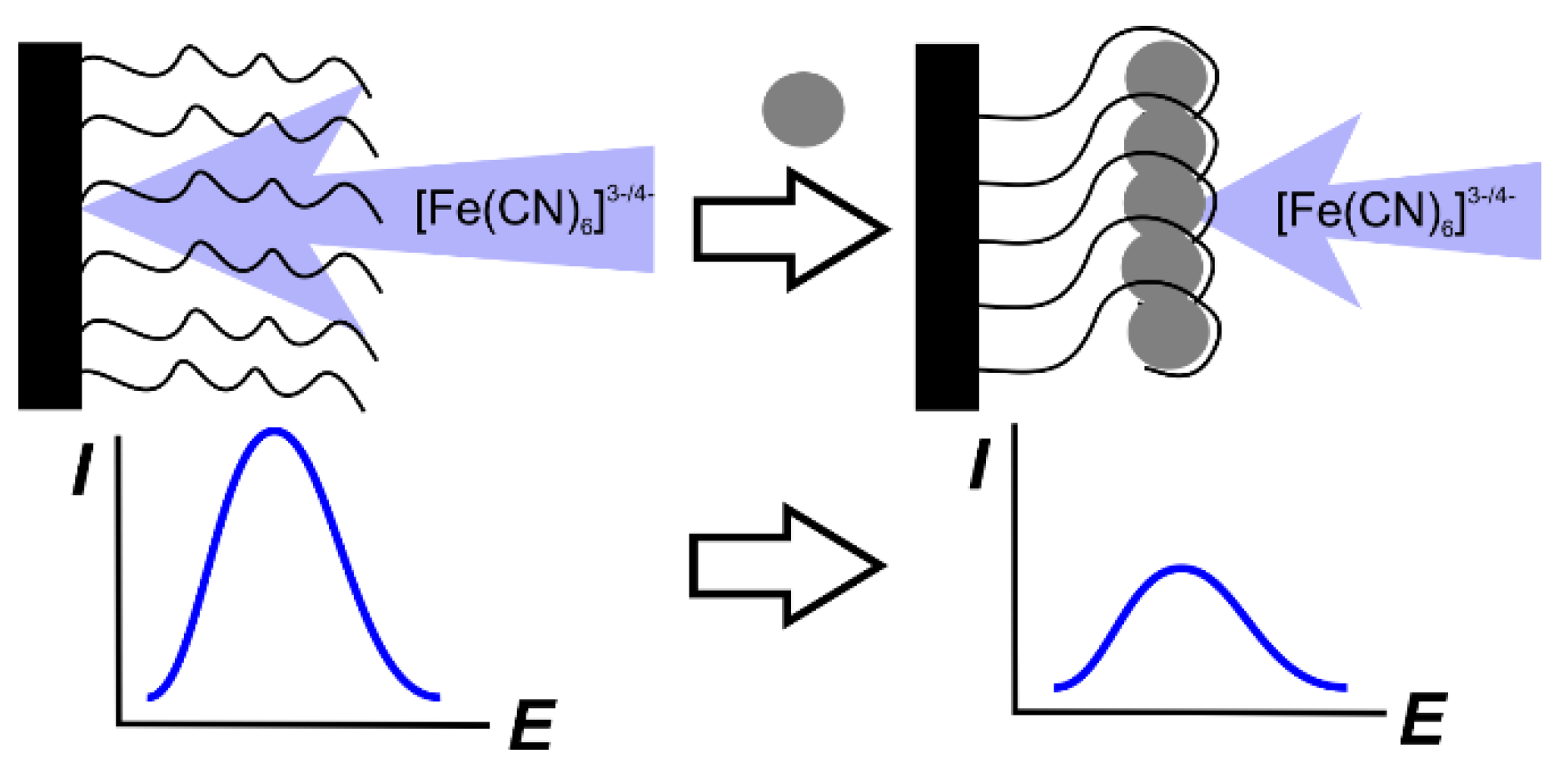 Chemosensors 08 00096 g009 Chemosensors 08 00096 g009