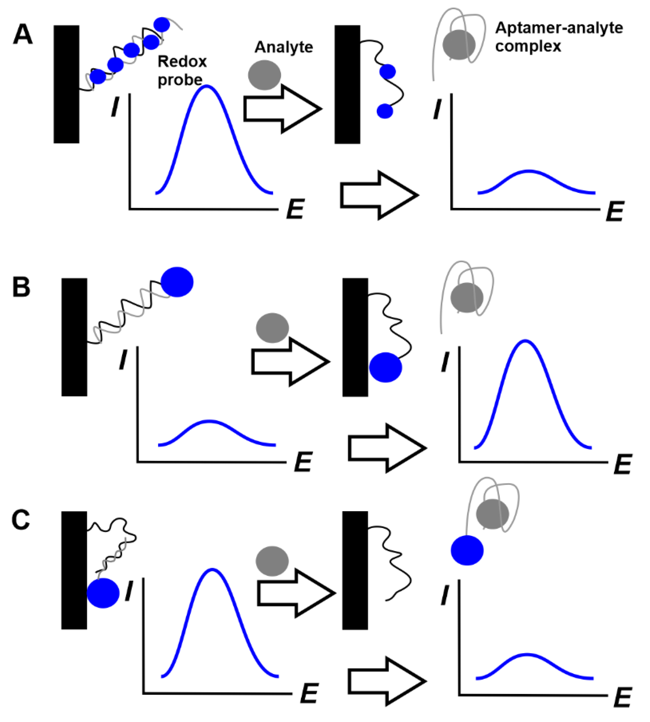 Chemosensors Free Full Text Advances In Electrochemical Aptasensors Based On Carbon Nanomaterials Html Chemosensors Free Full Text Advances In Electrochemical Aptasensors Based On Carbon Nanomaterials Html