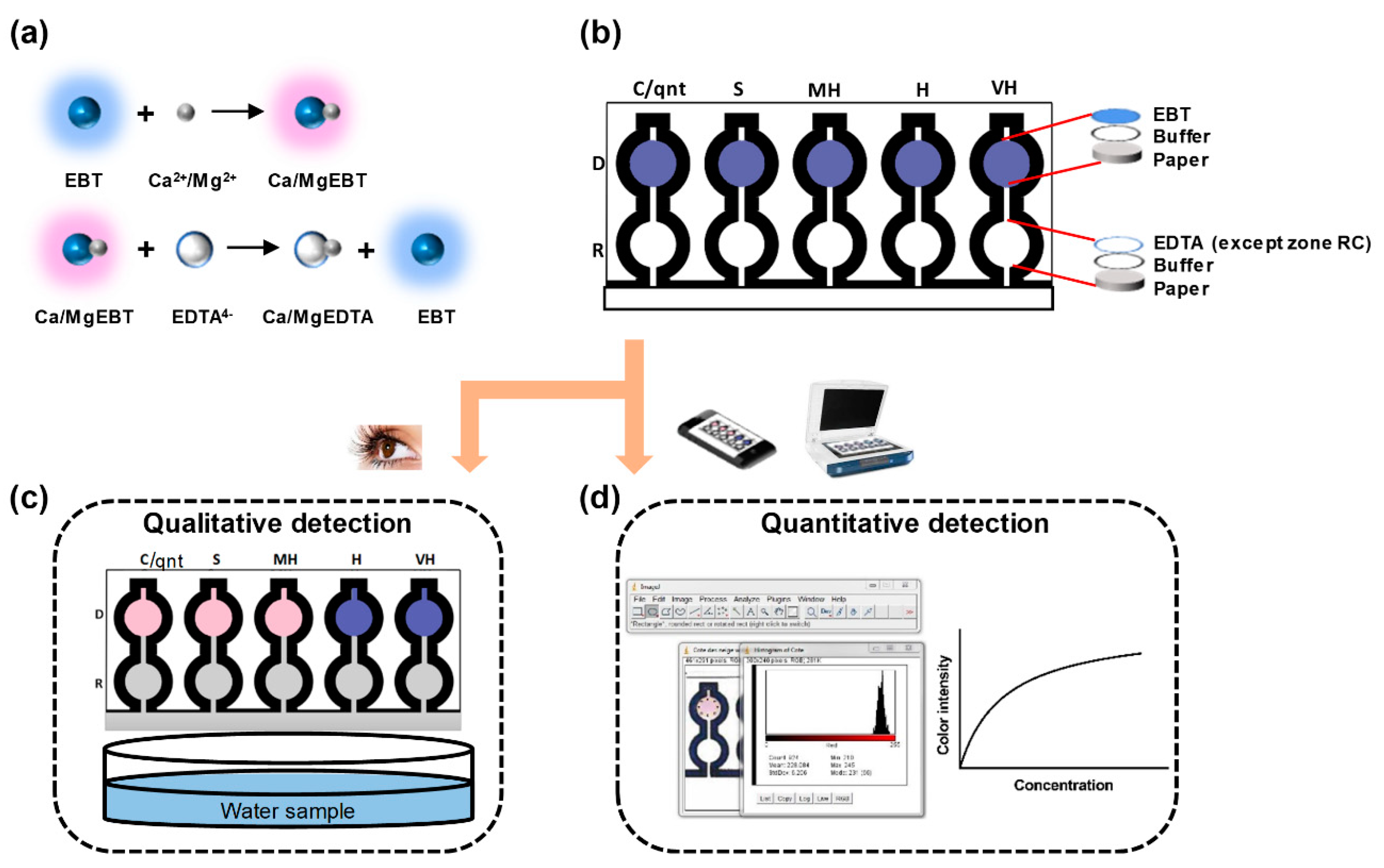 Chemosensors 08 00097 g001