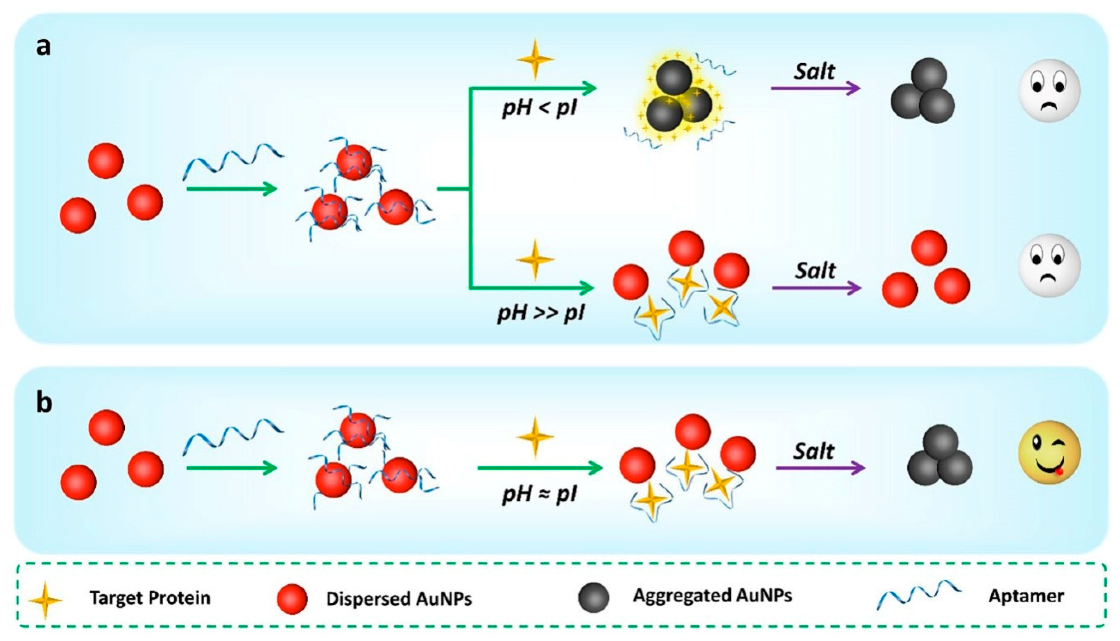 Chemosensors Free FullText A Critical Factor for Quantifying