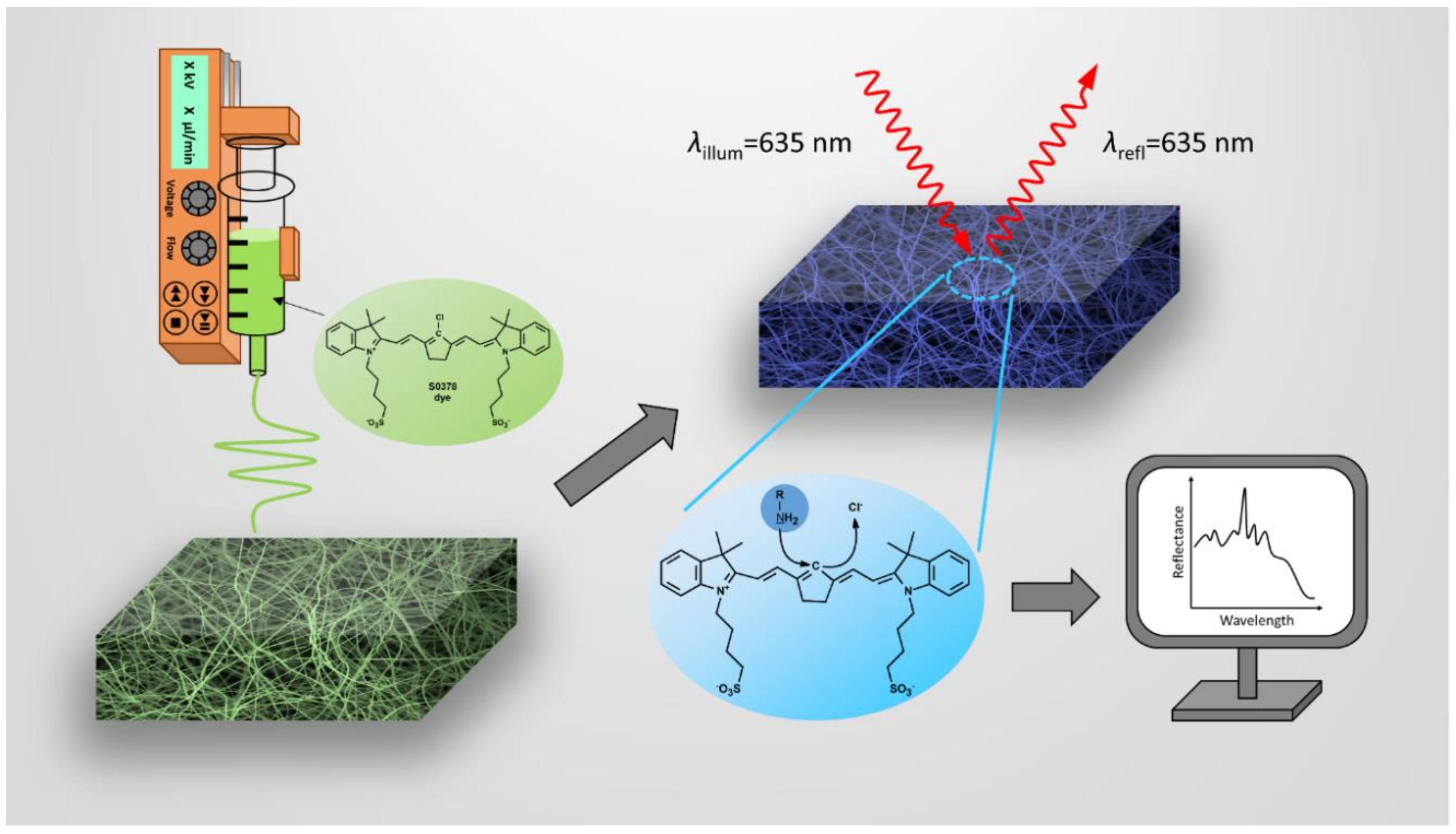 Chemosensors 08 00099 g001 Chemosensors 08 00099 g001