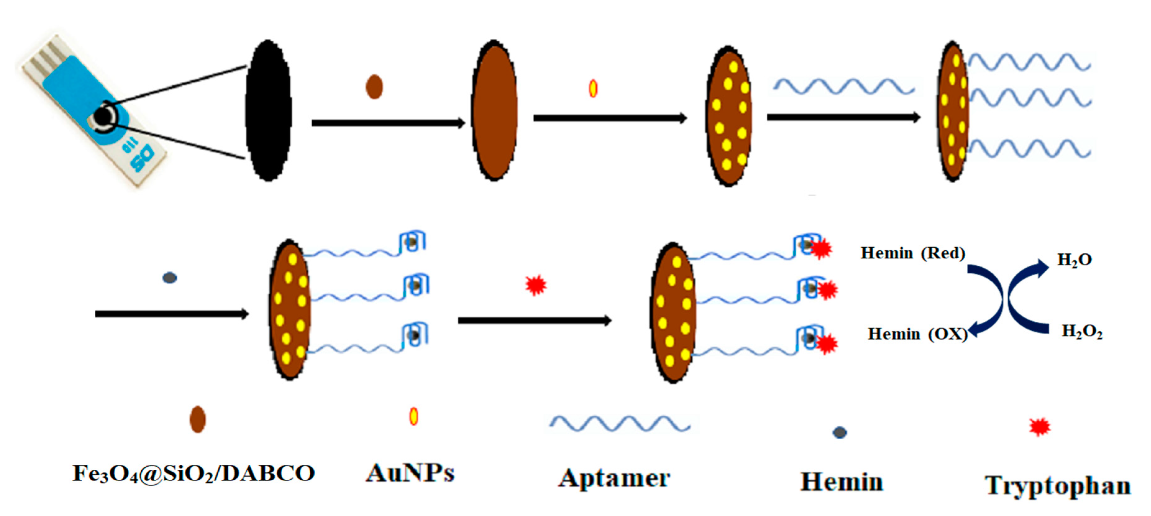 Chemosensors 08 00100 g001