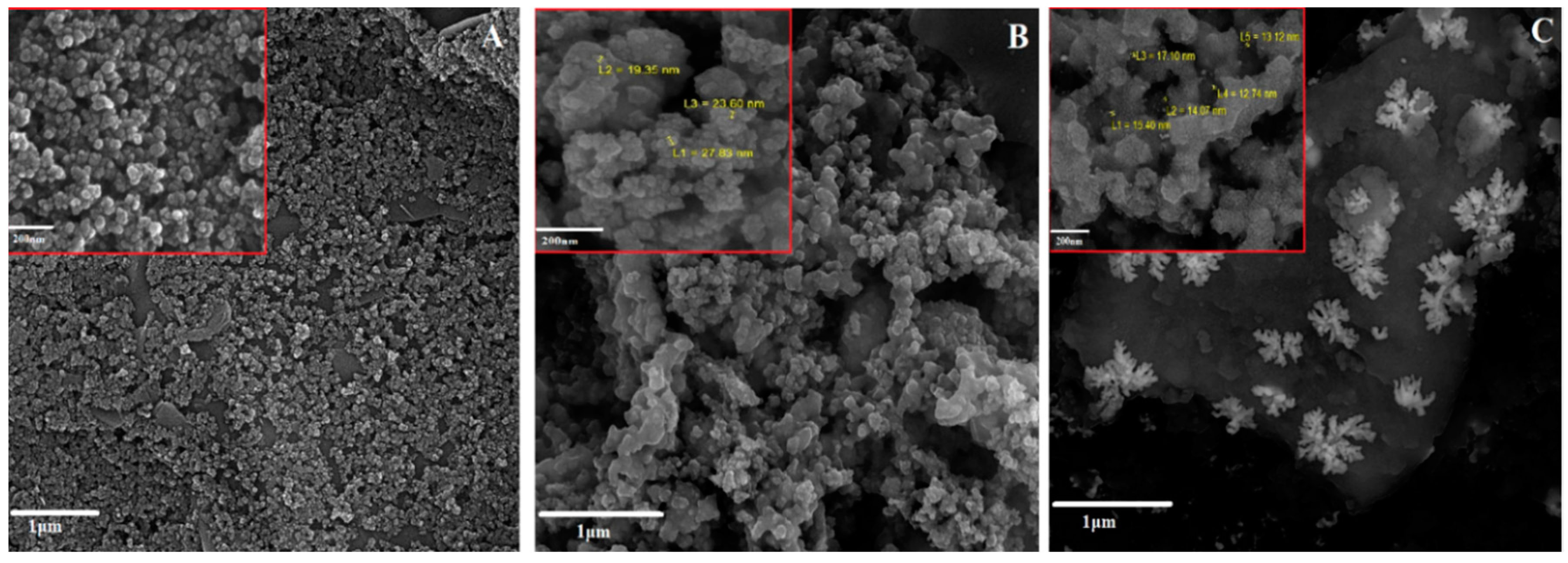 Chemosensors 08 00100 g002