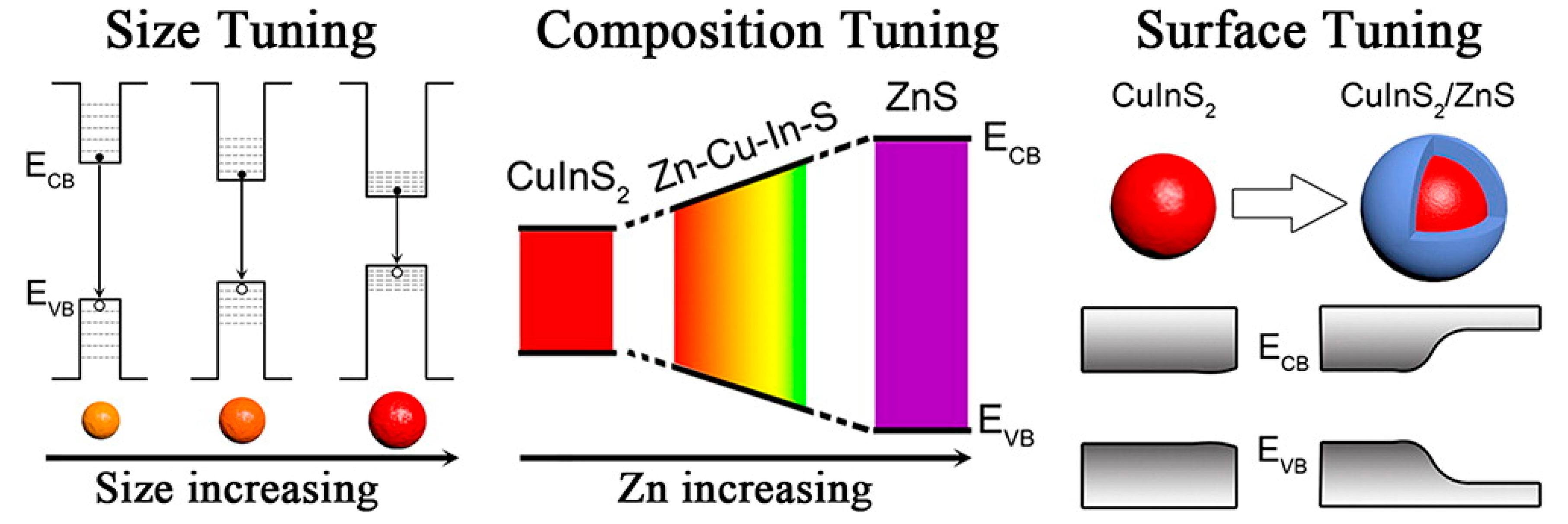 Chemosensors 08 00101 g001 Chemosensors 08 00101 g001