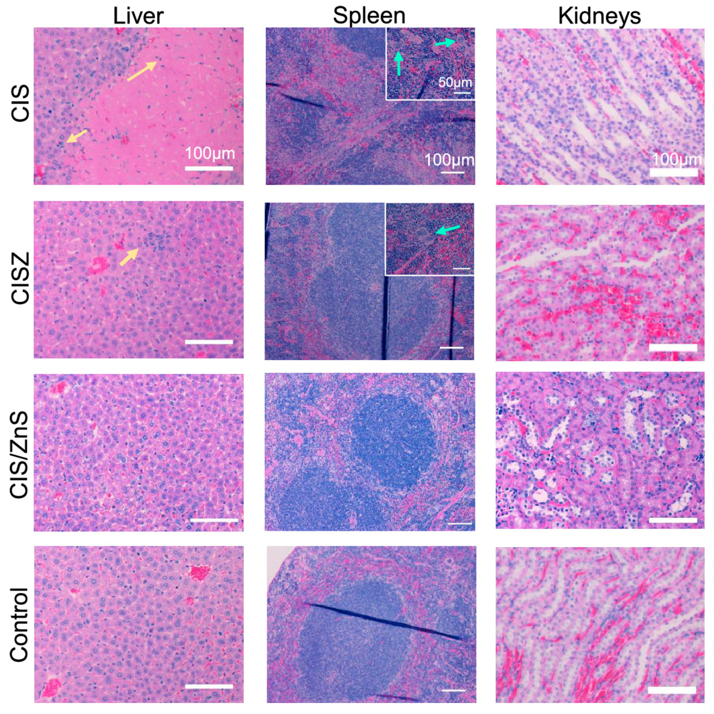 Chemosensors 08 00101 g013 Chemosensors 08 00101 g013