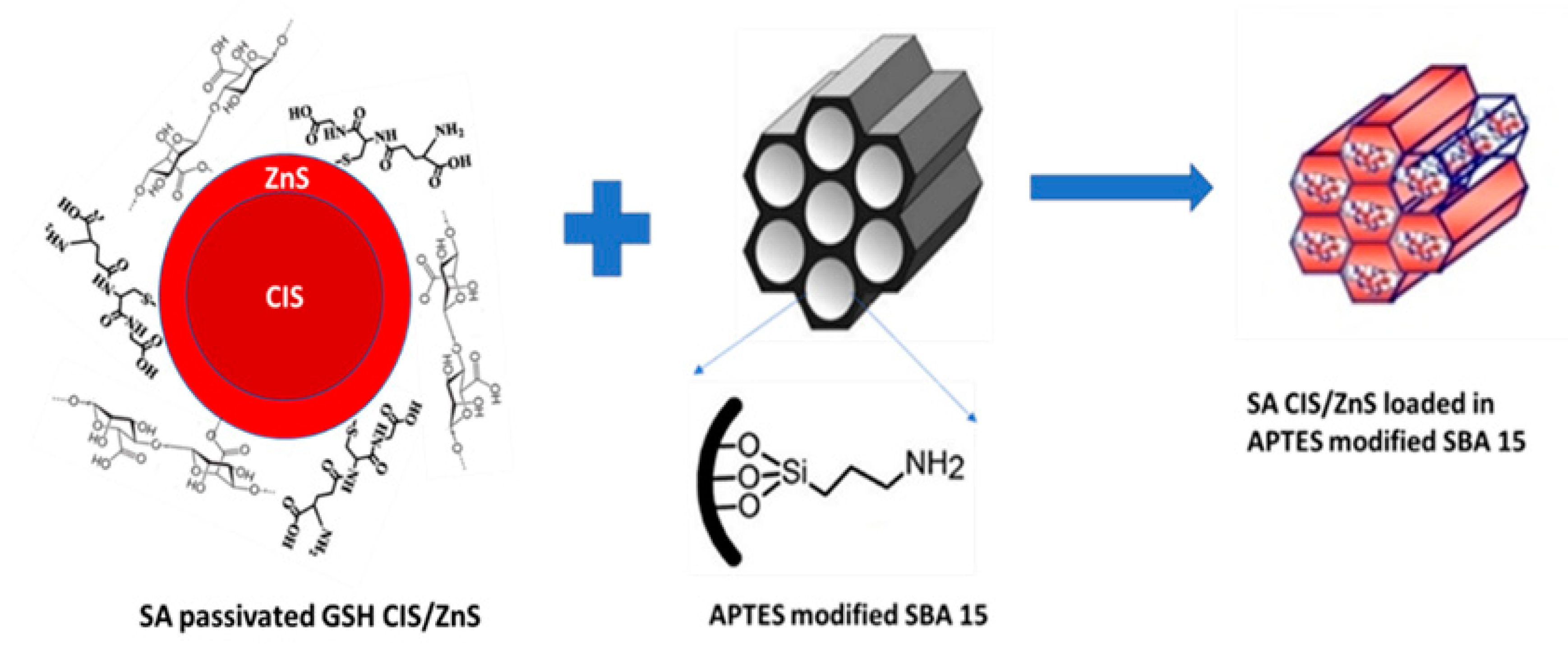 Chemosensors 08 00101 g017 Chemosensors 08 00101 g017