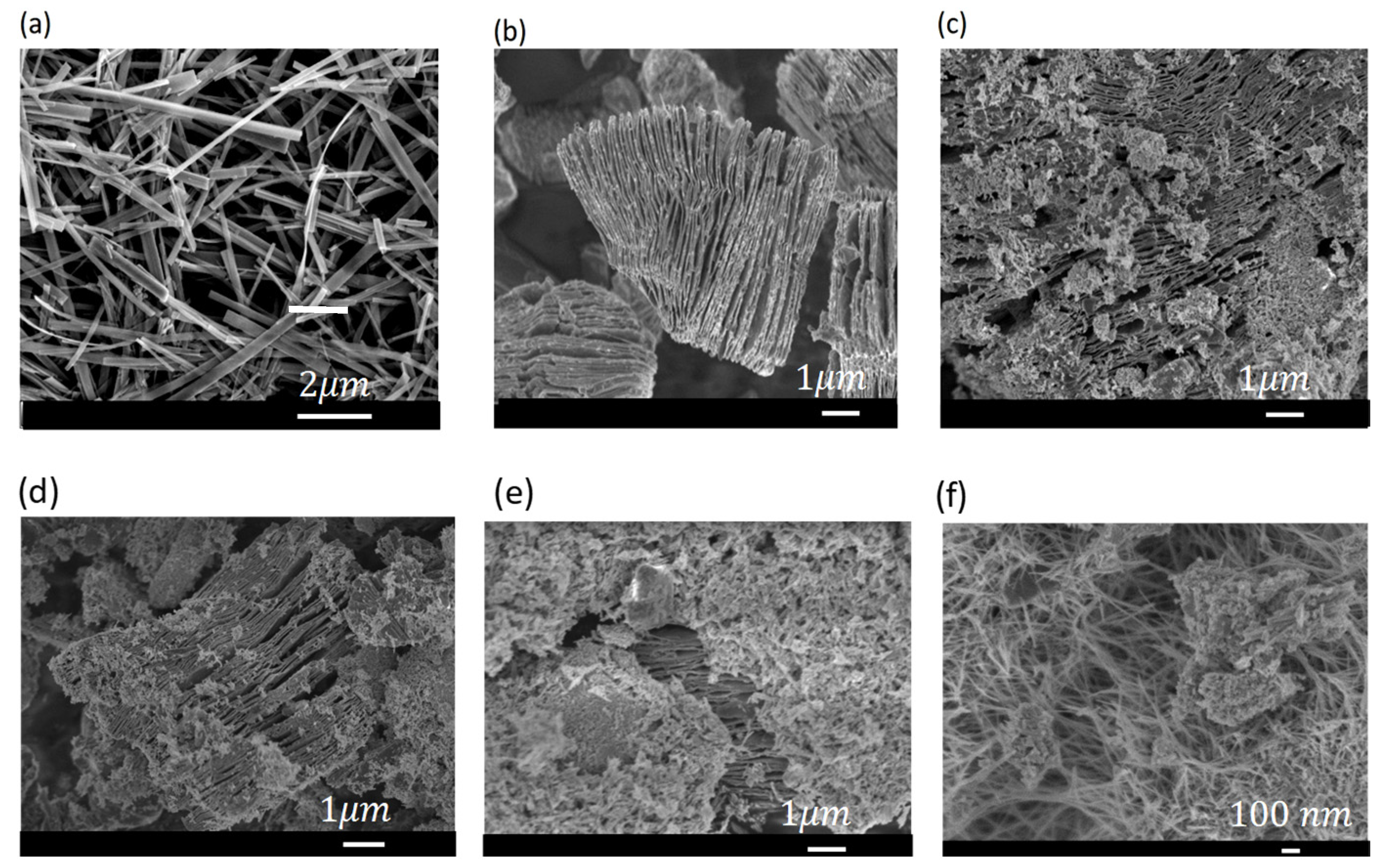 Chemosensors 08 00102 g002