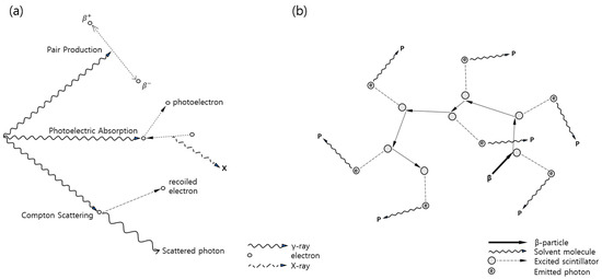 Chemosensors Free Full Text Low Energy Beta Emitter Measurement A Review Html