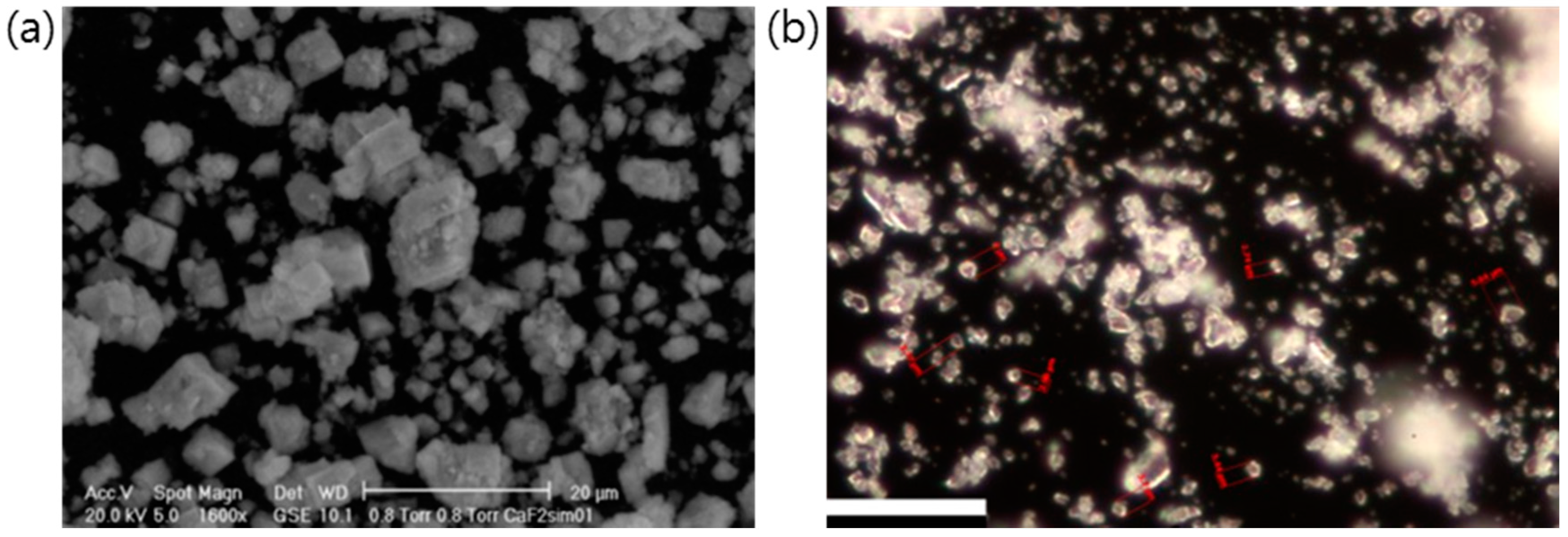 Chemosensors 08 00106 g020 Chemosensors 08 00106 g020