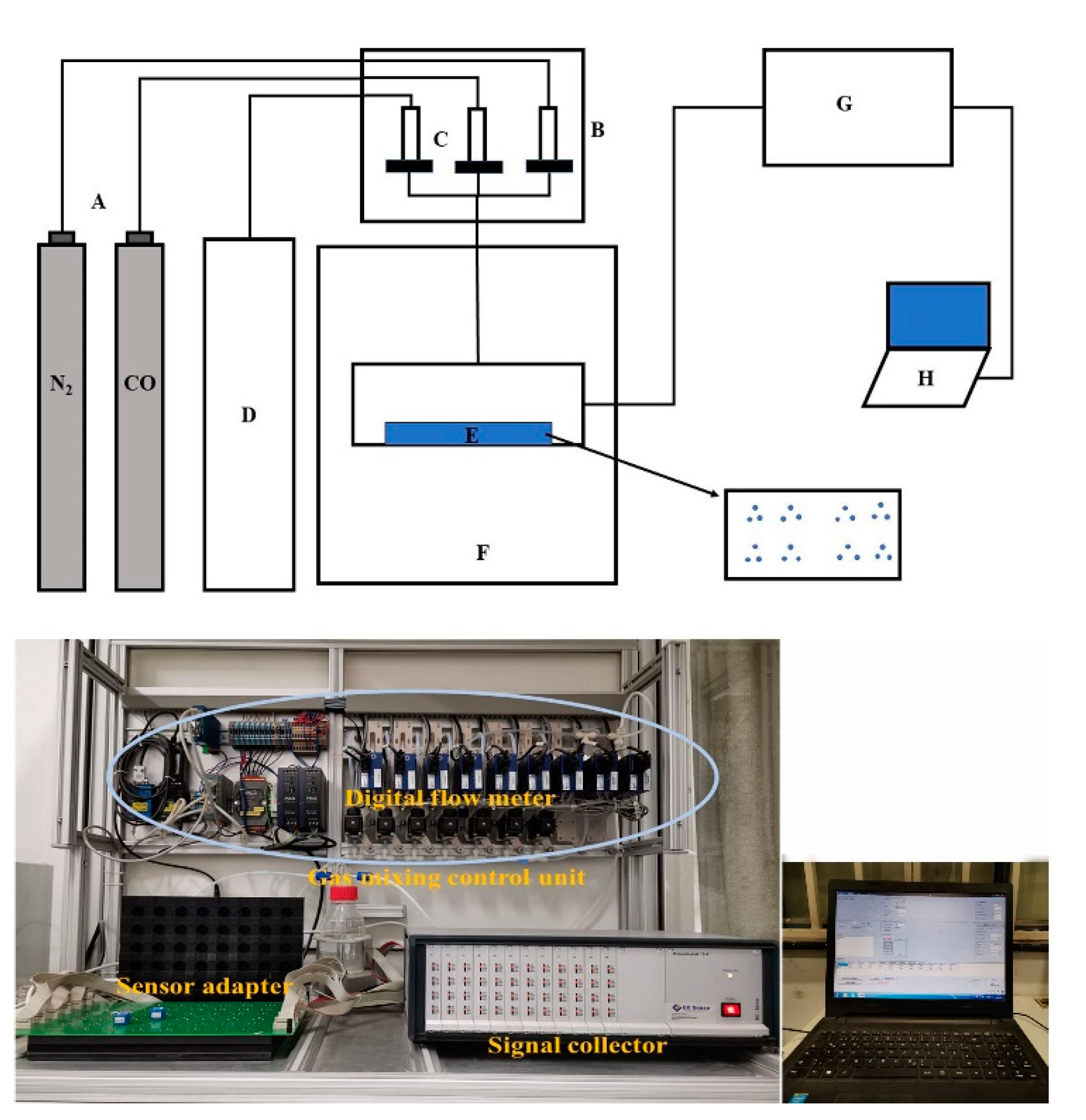 Chemosensors 08 00109 g002 550