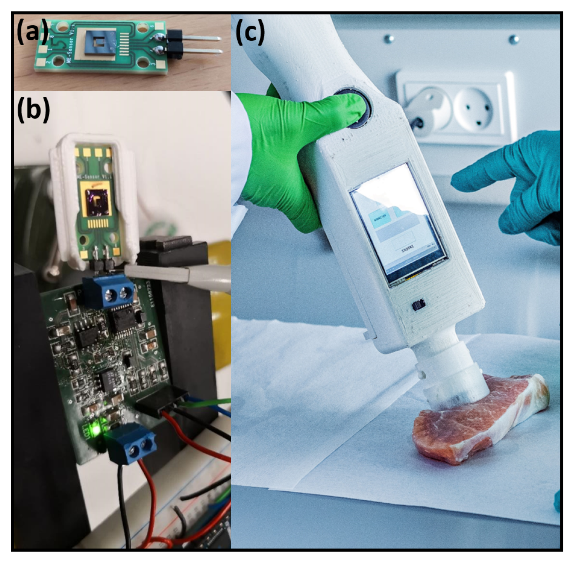 Chemosensors 08 00114 g010 Chemosensors 08 00114 g010