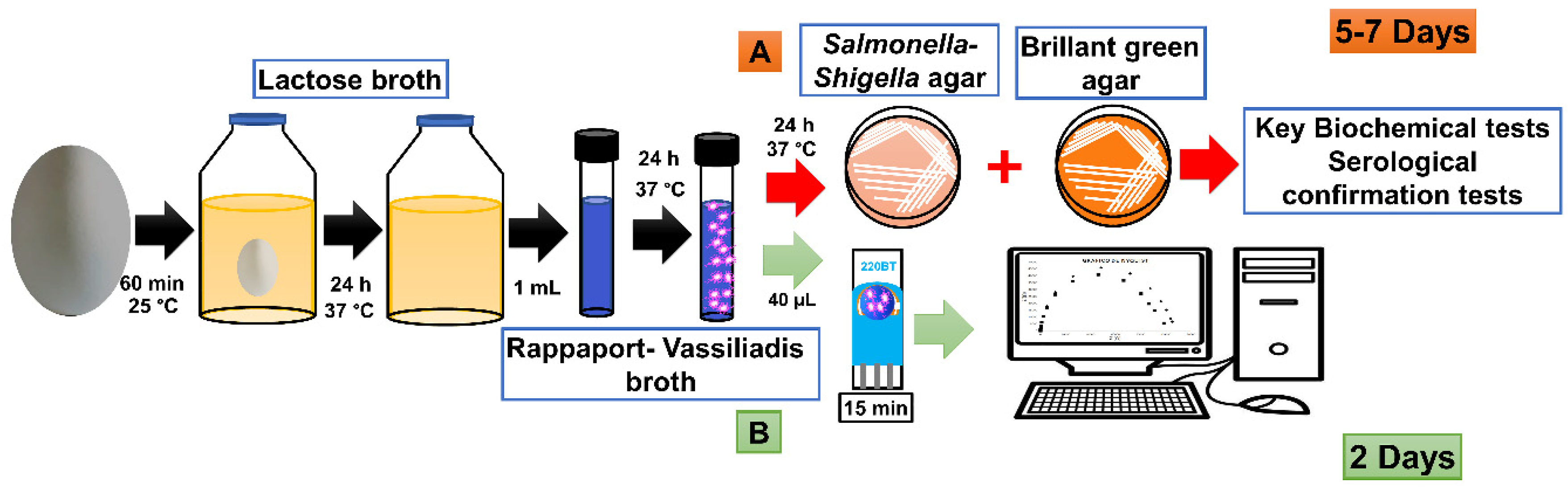 Chemosensors 08 00115 g002 Chemosensors 08 00115 g002