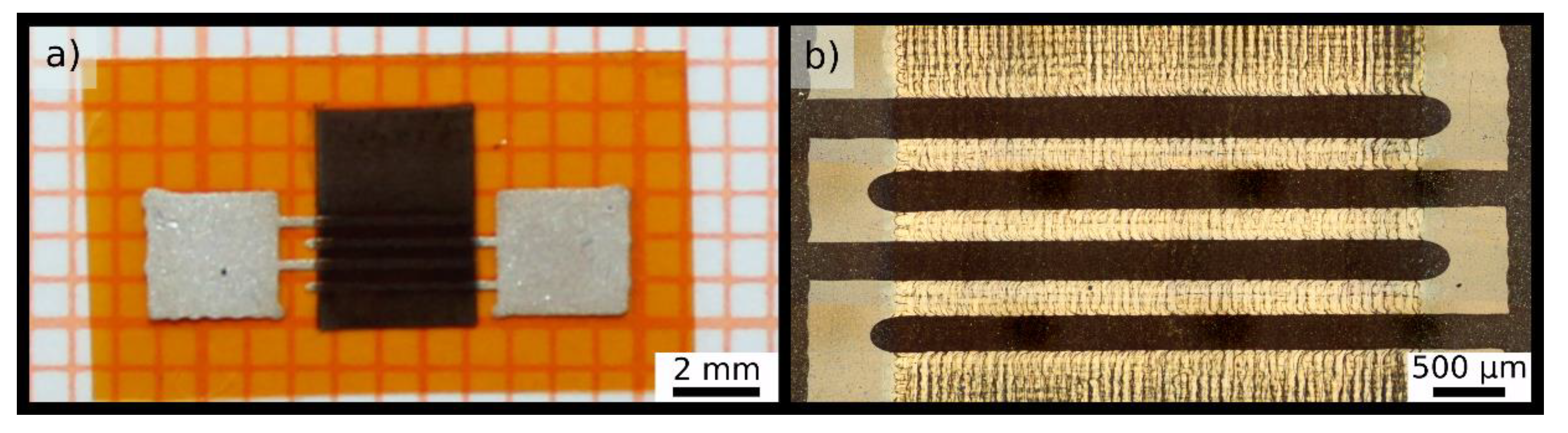 Chemosensors 08 00116 g002