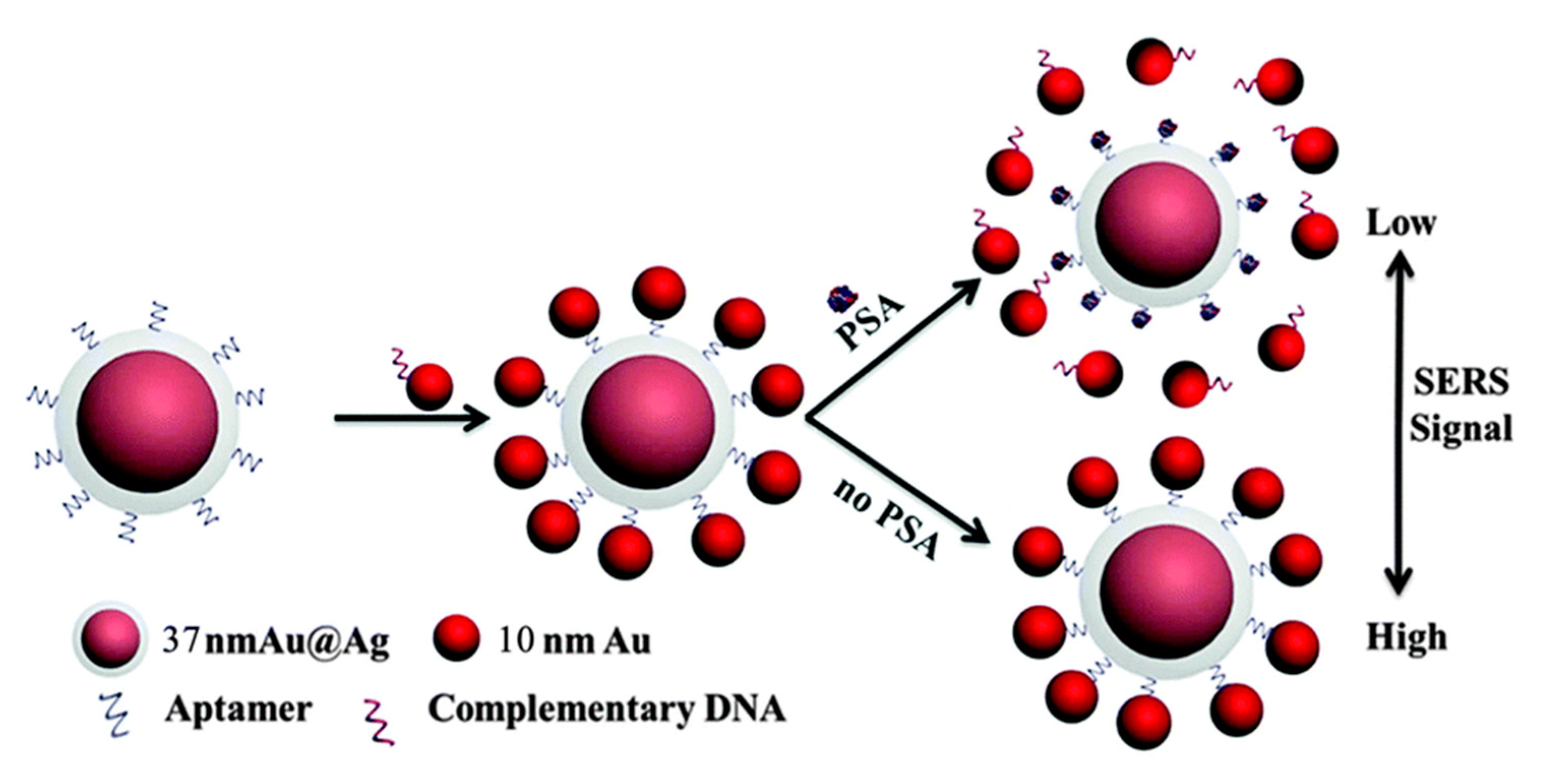 Chemosensors 08 00118 g003 Chemosensors 08 00118 g003