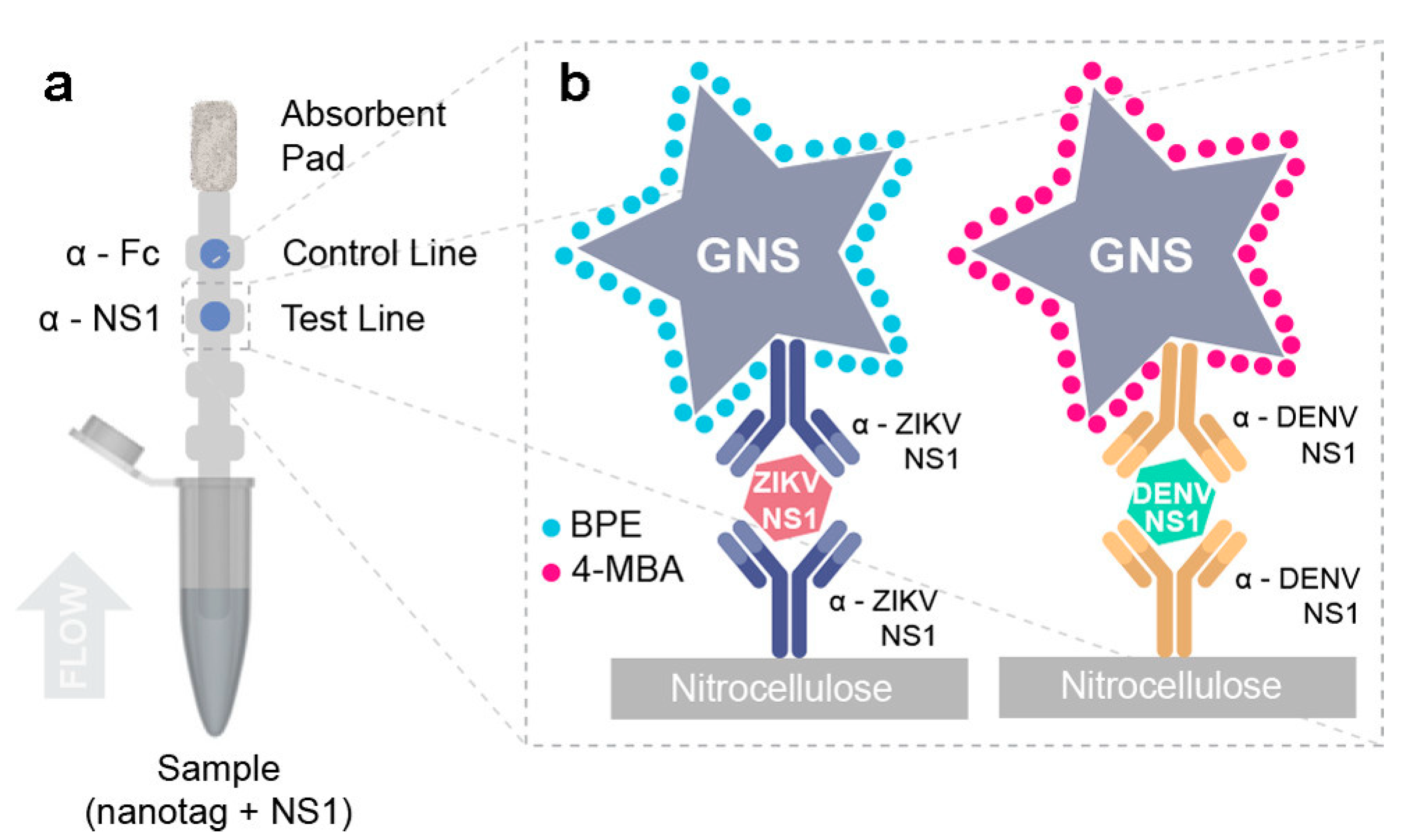 Chemosensors 08 00118 g004 Chemosensors 08 00118 g004