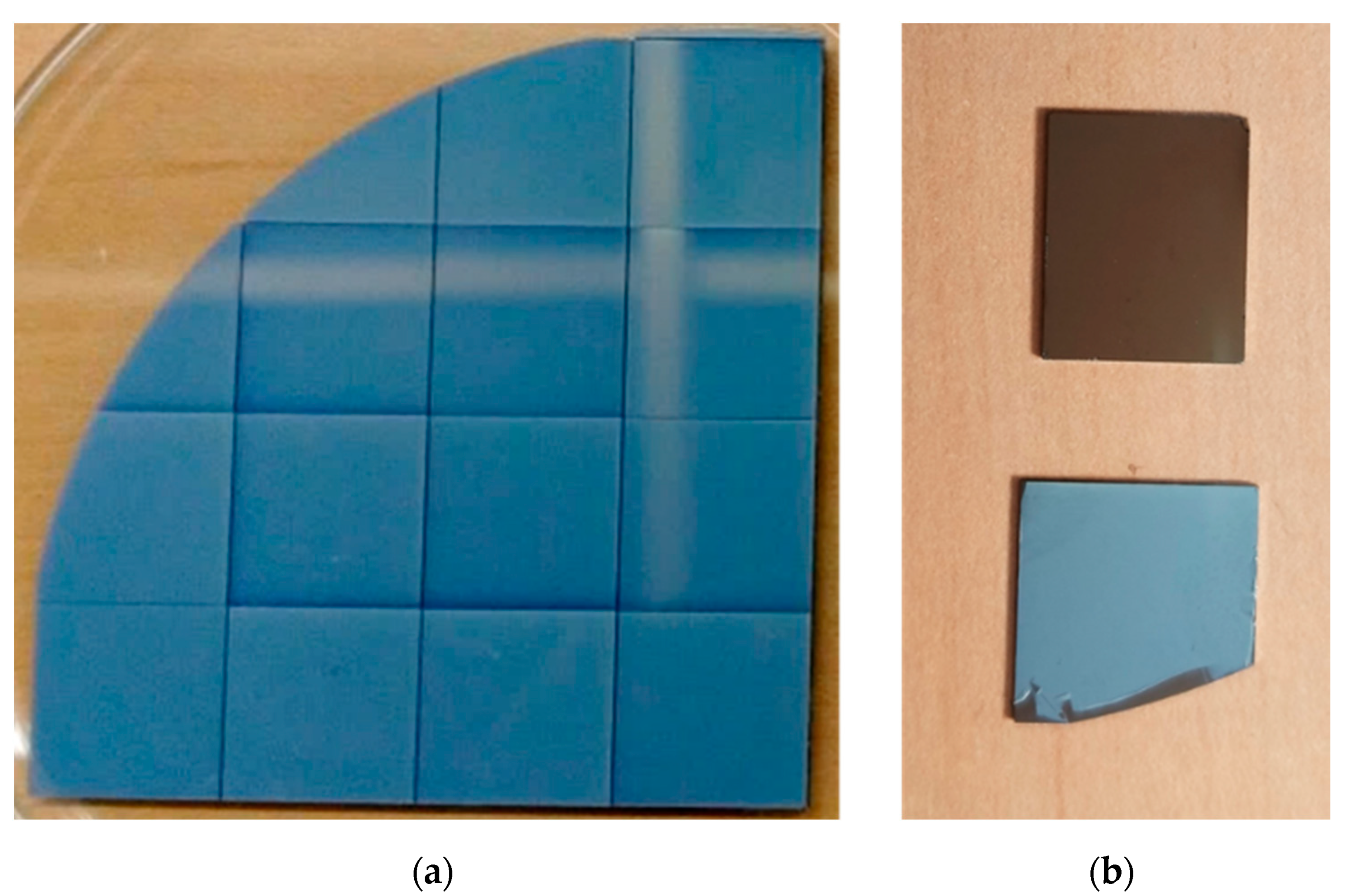 Chemosensors 08 00119 g001