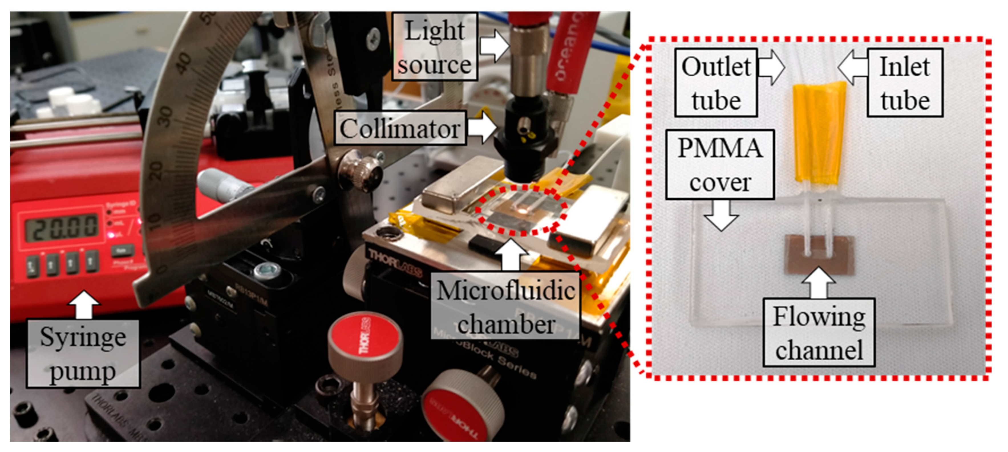 Chemosensors 08 00119 g002