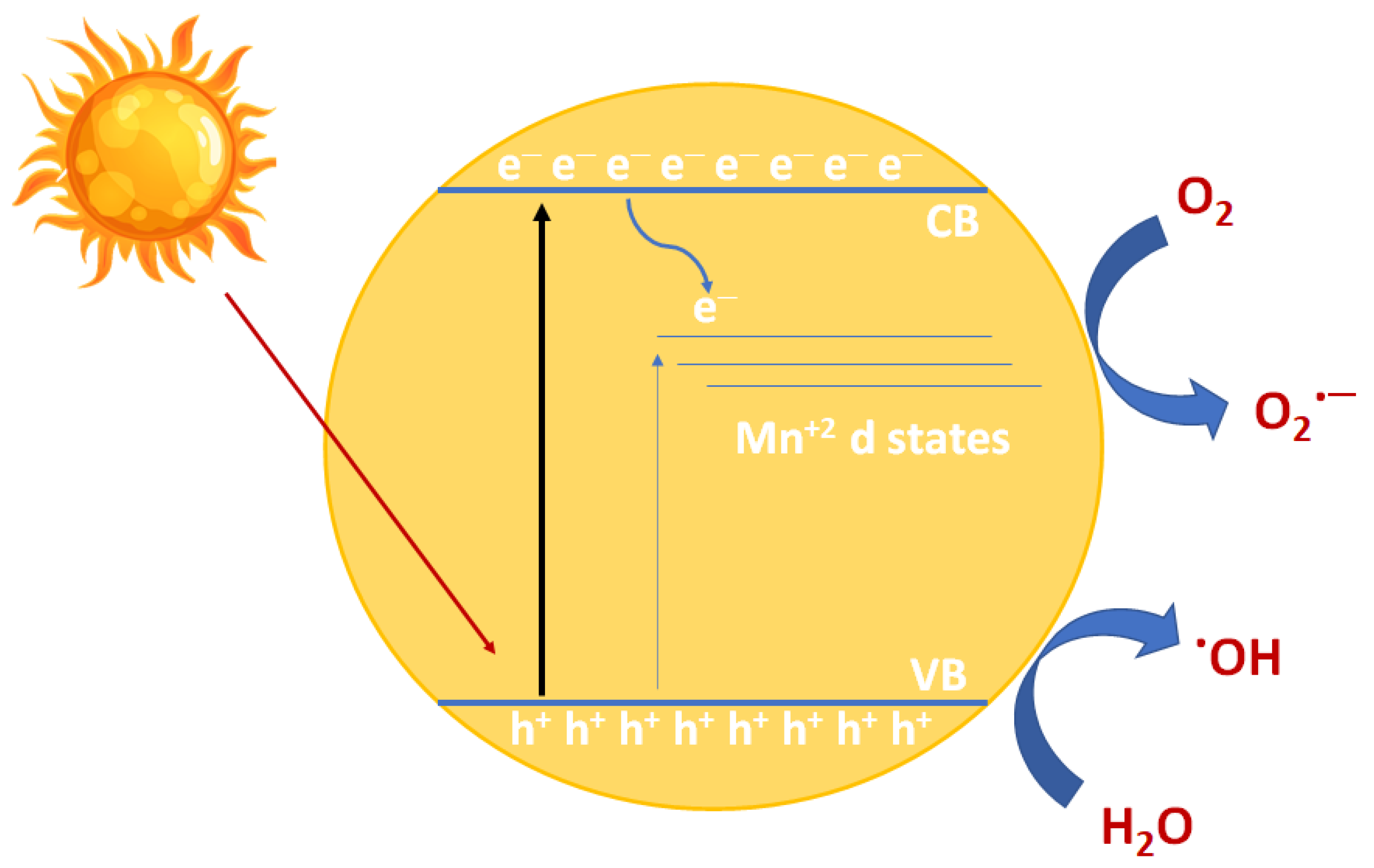 Chemosensors 08 00120 g007