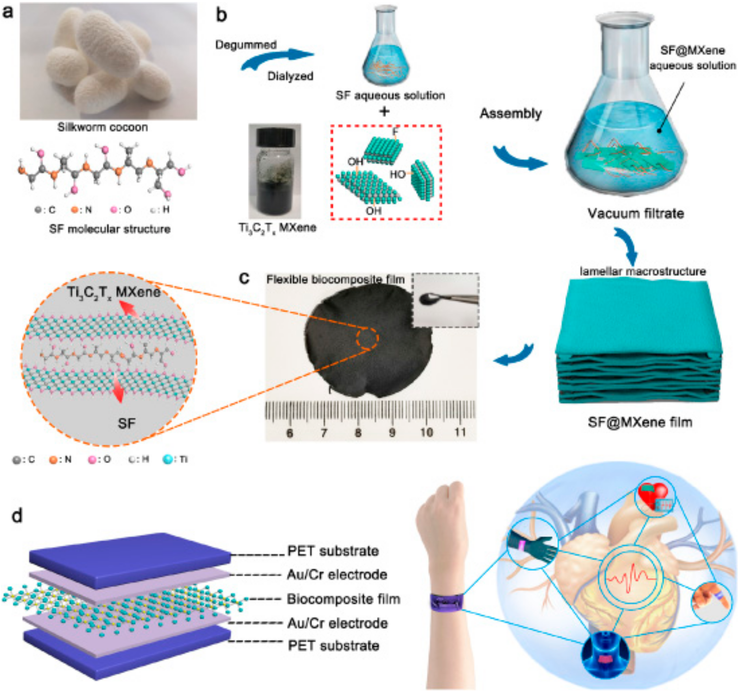Chemosensors 08 00127 g002