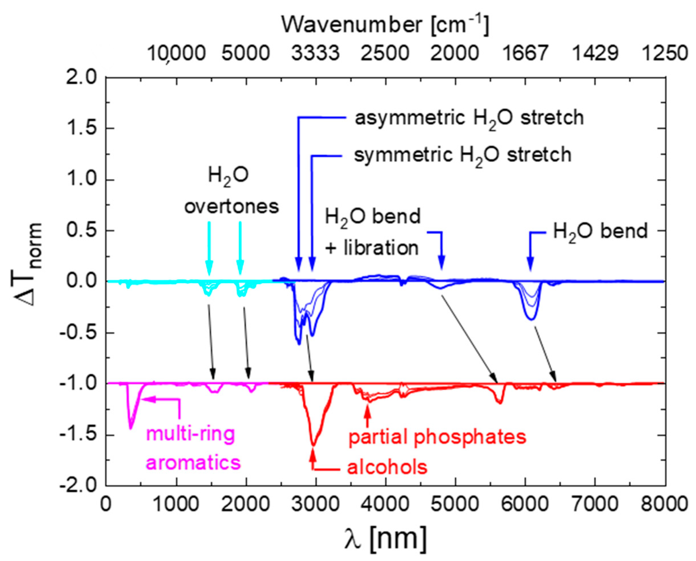 Chemosensors 08 00131 g004