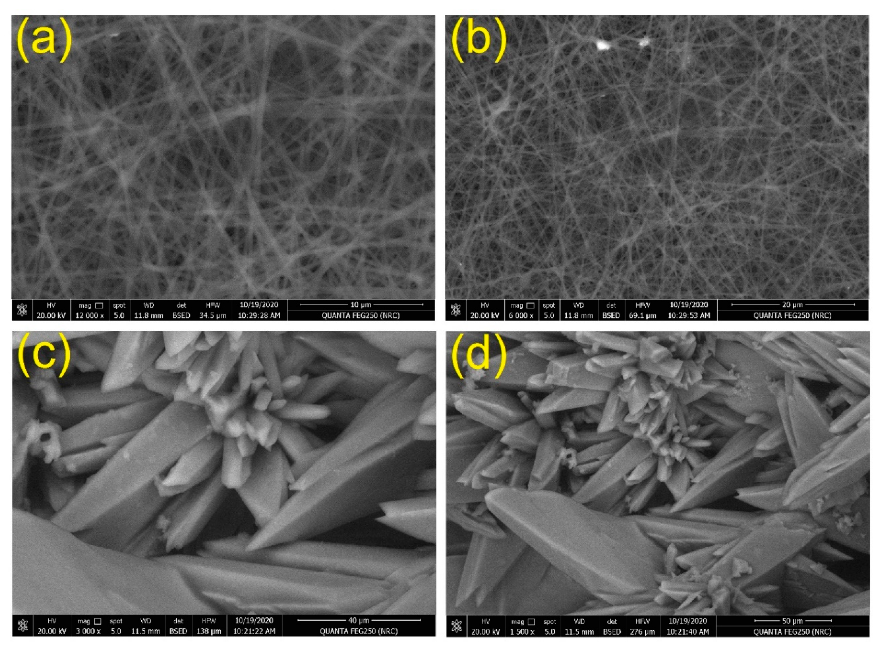 Chemosensors 08 00132 g006 Chemosensors 08 00132 g006
