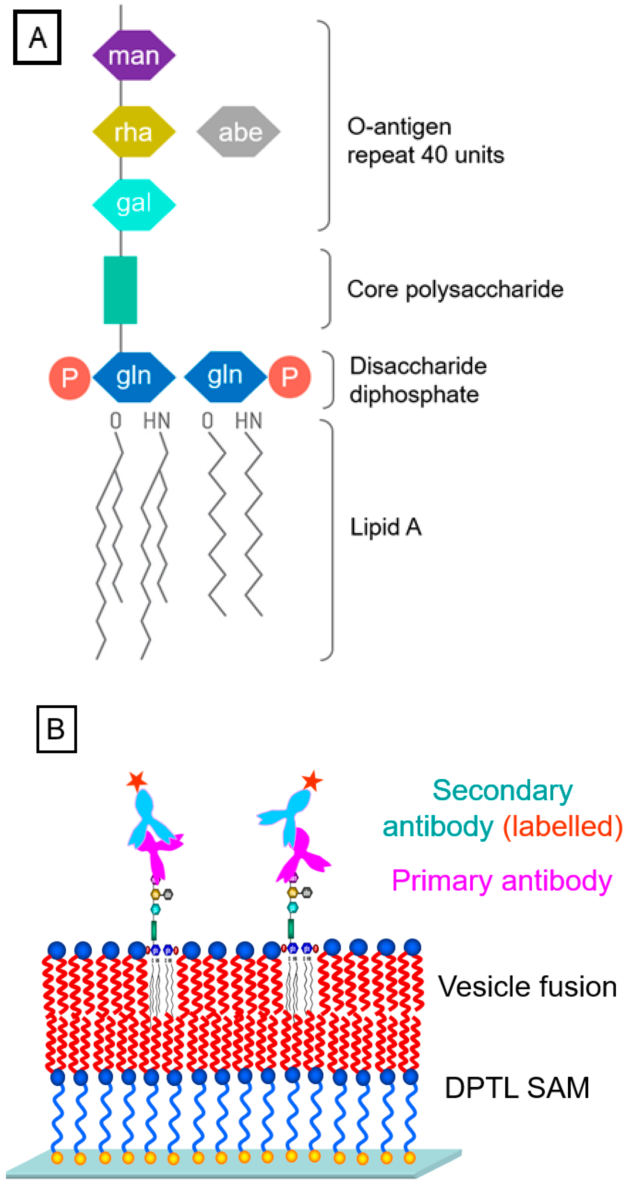Chemosensors 09 00011 g006