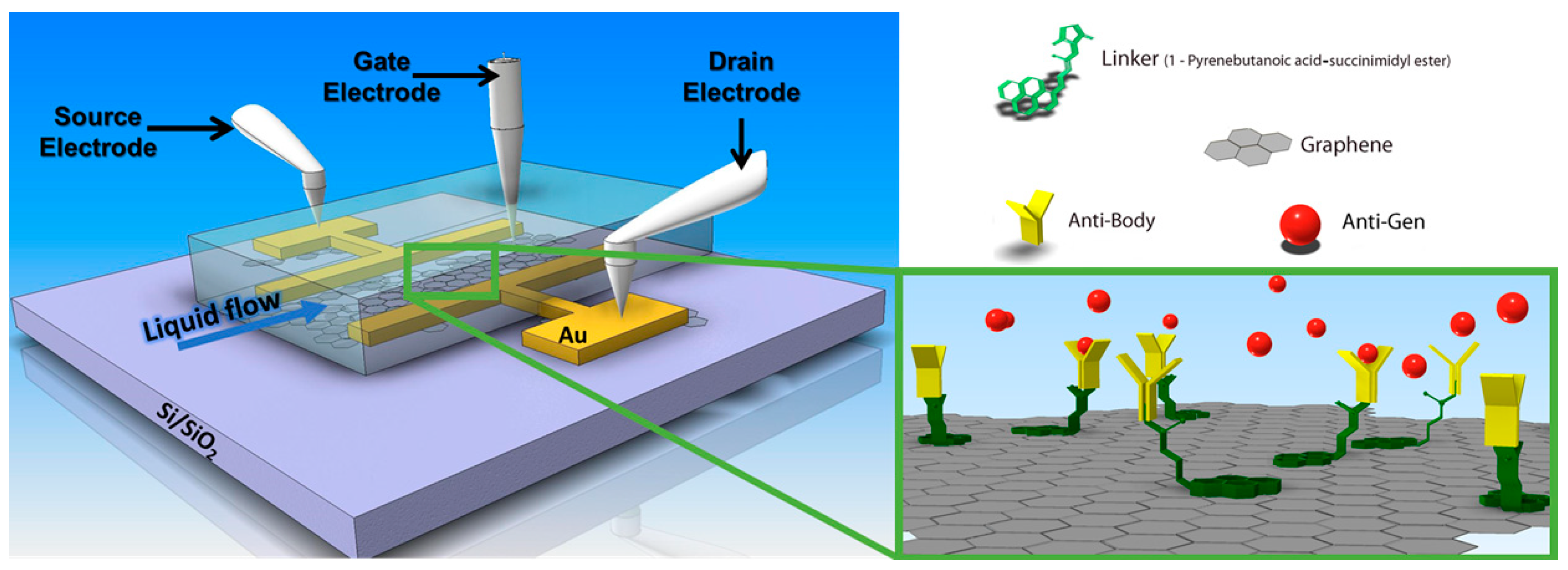 Chemosensors 09 00011 g008