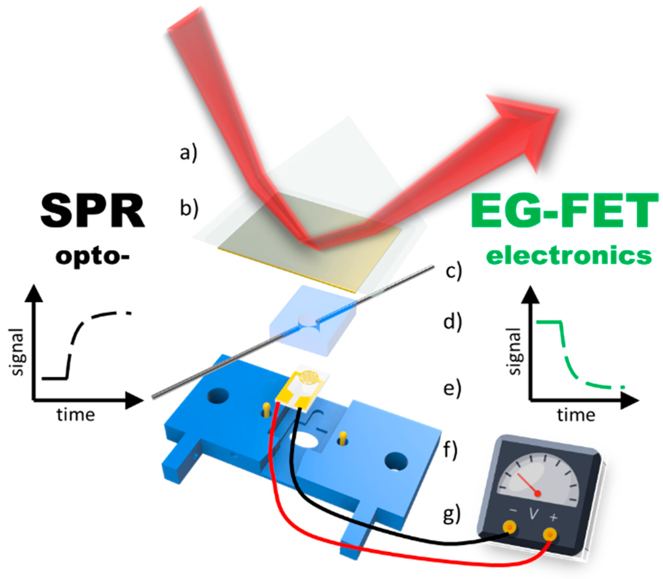 Chemosensors 09 00011 g013